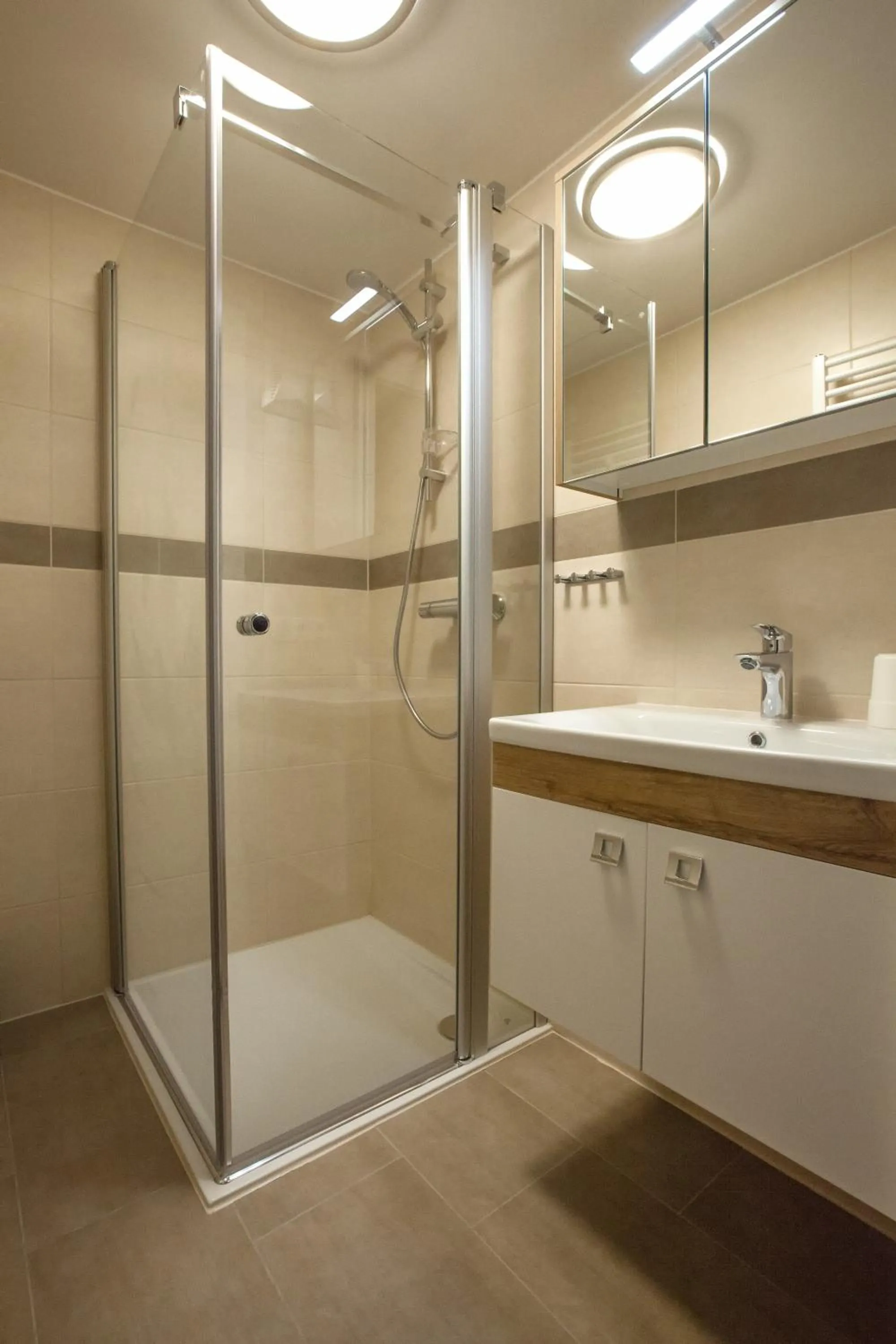 Shower in Alpine Appart
