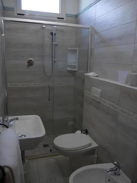 Bathroom in Hotel Anita