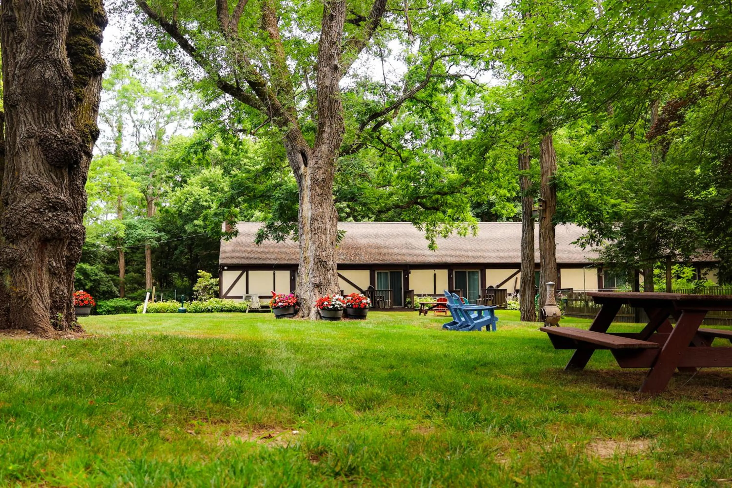 Garden in The Earl of Sandwich Motel