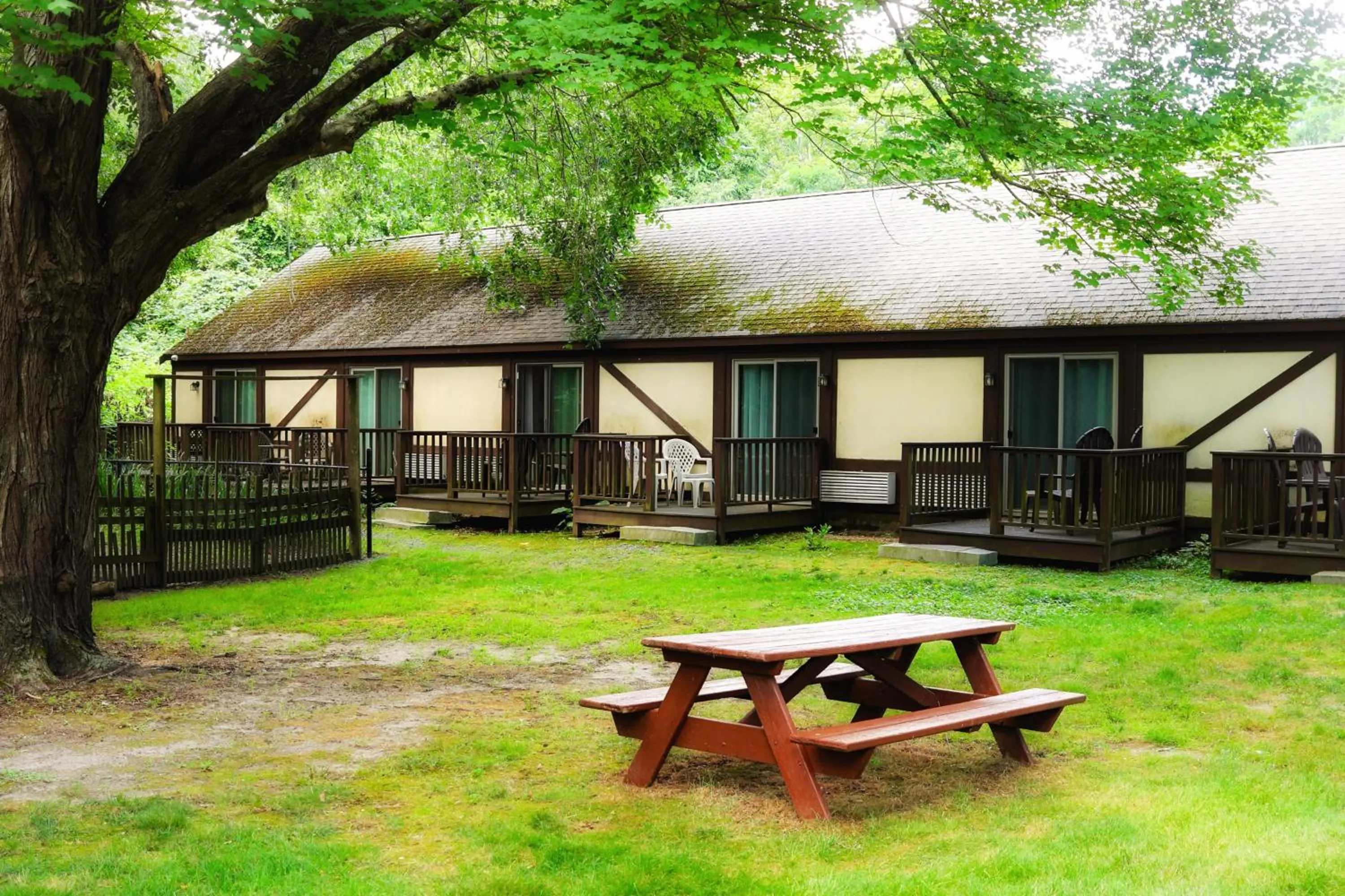 Garden in The Earl of Sandwich Motel