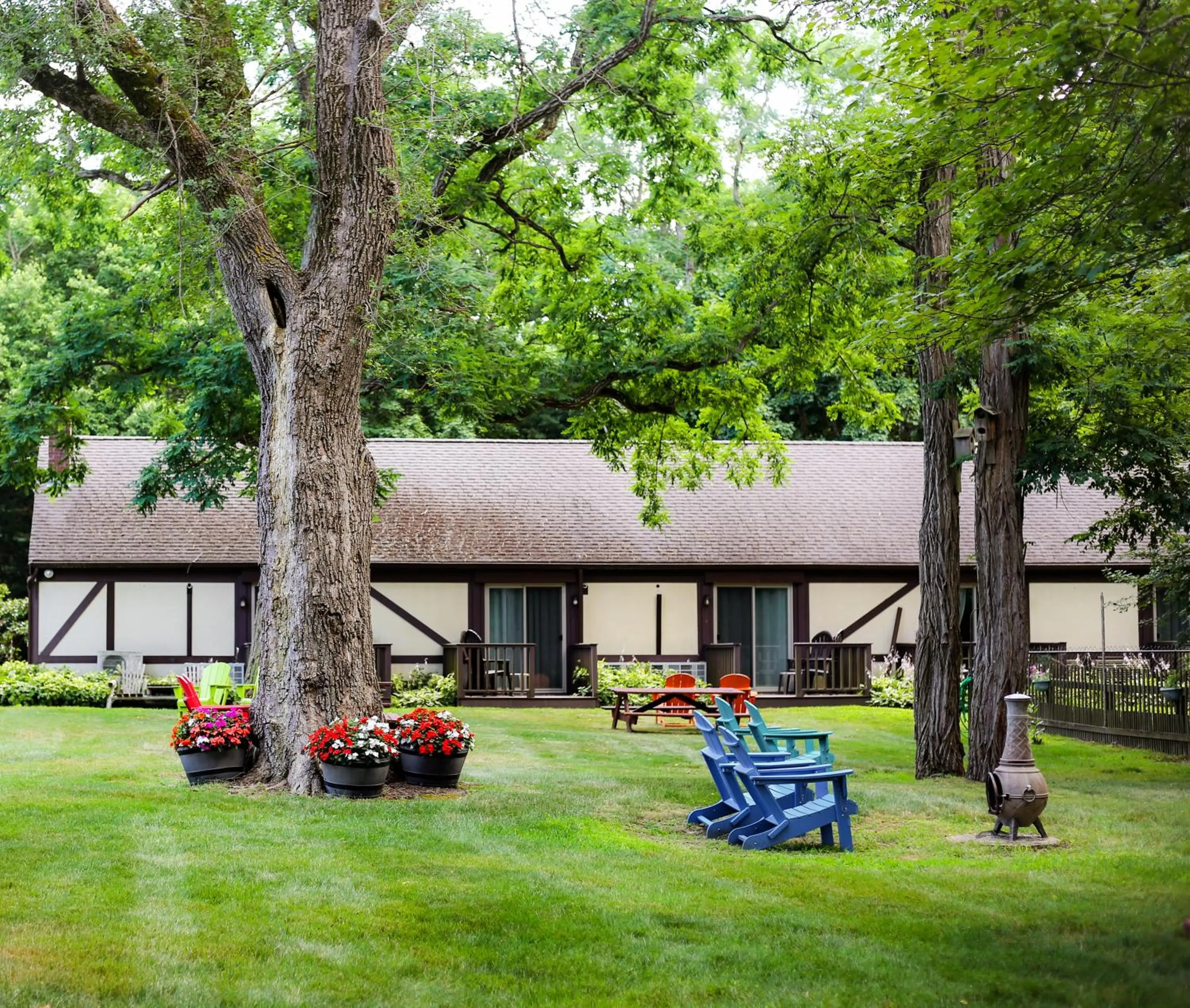Garden in The Earl of Sandwich Motel