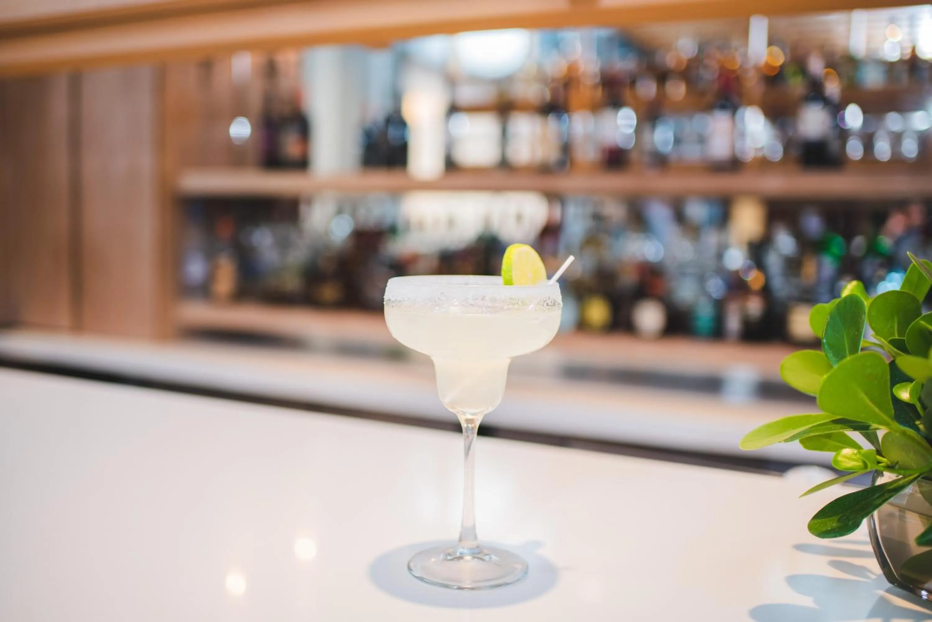 Lounge or bar in Hotel Los Portales