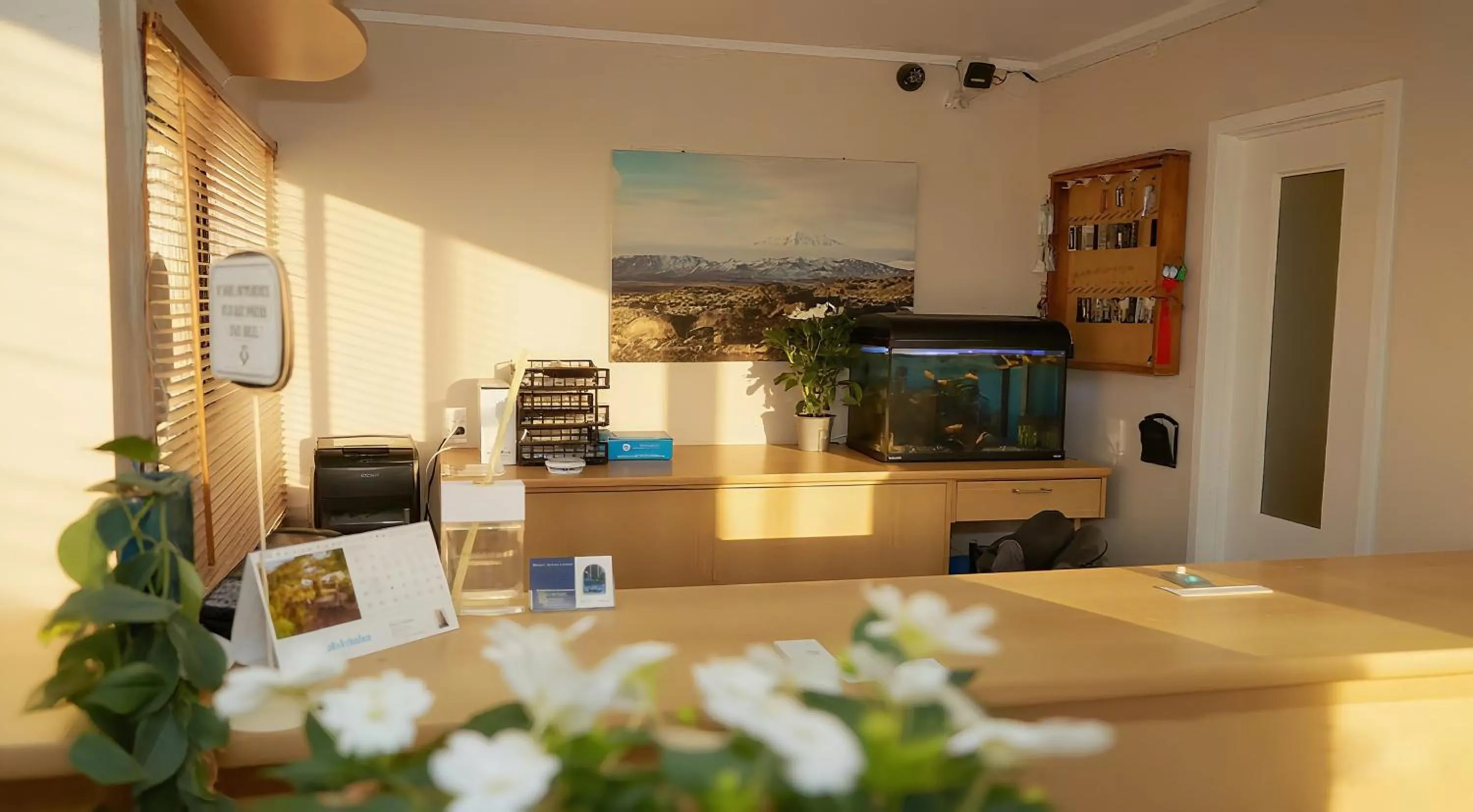 Lobby or reception in Drury Motor Lodge