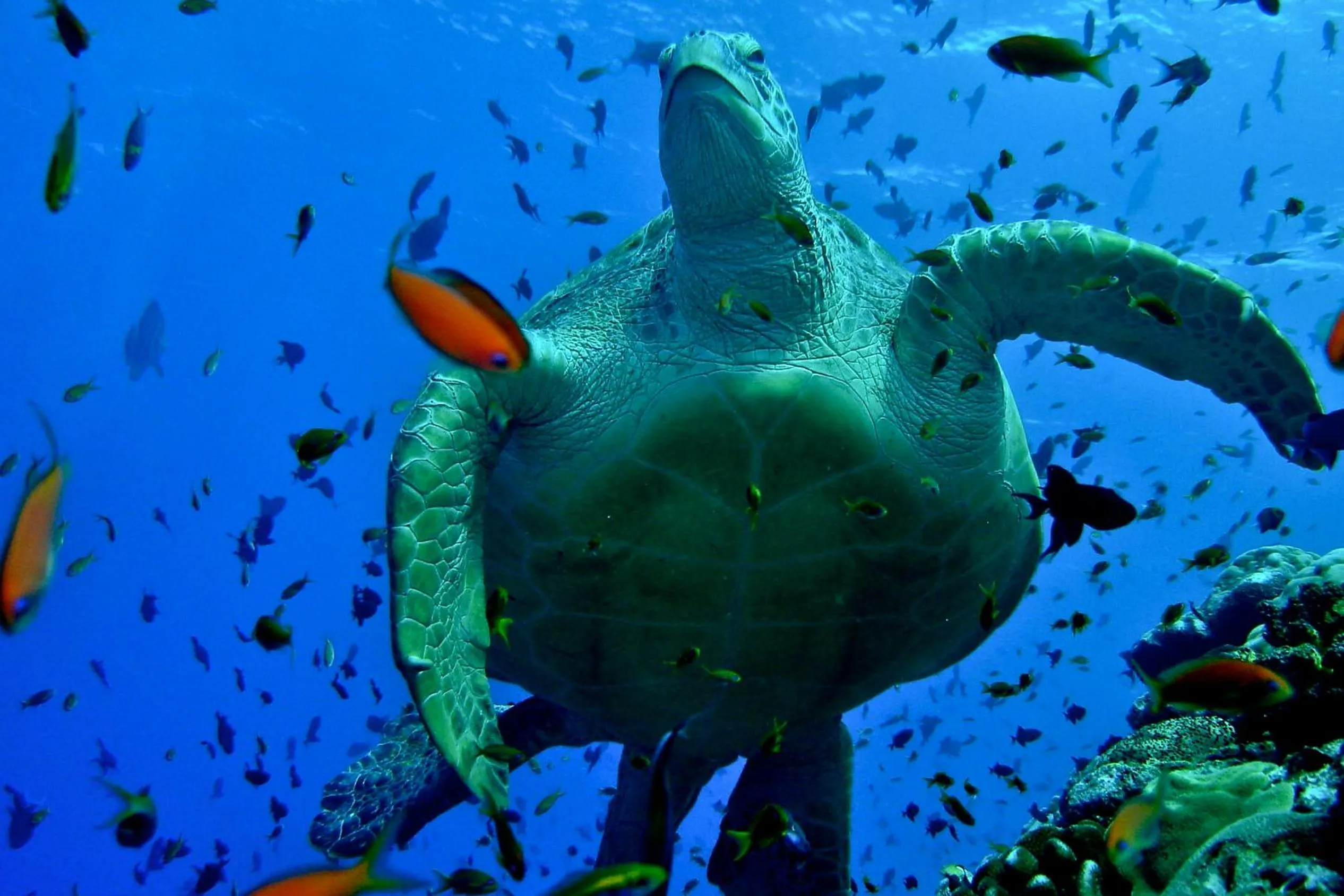 Off site in Hotel Ocean Grand at Hulhumale