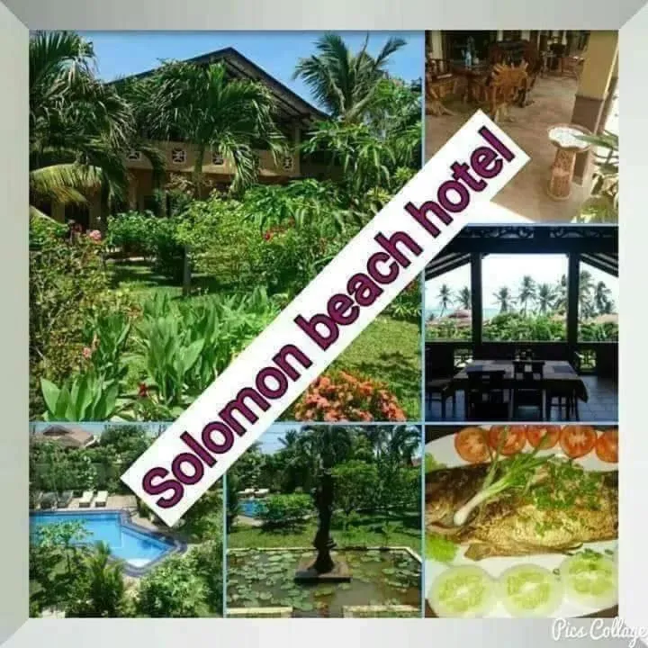 Garden view in Solomon Beach Hotel