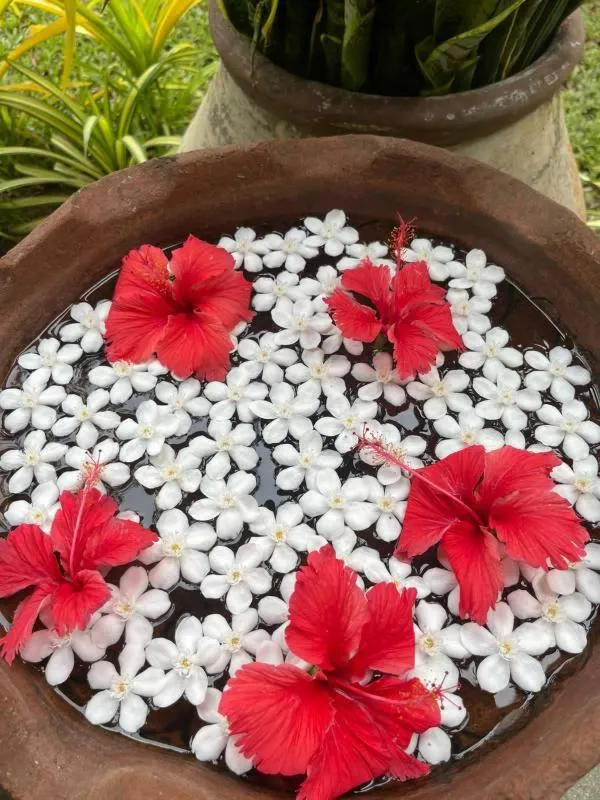 Property building in Solomon Beach Hotel