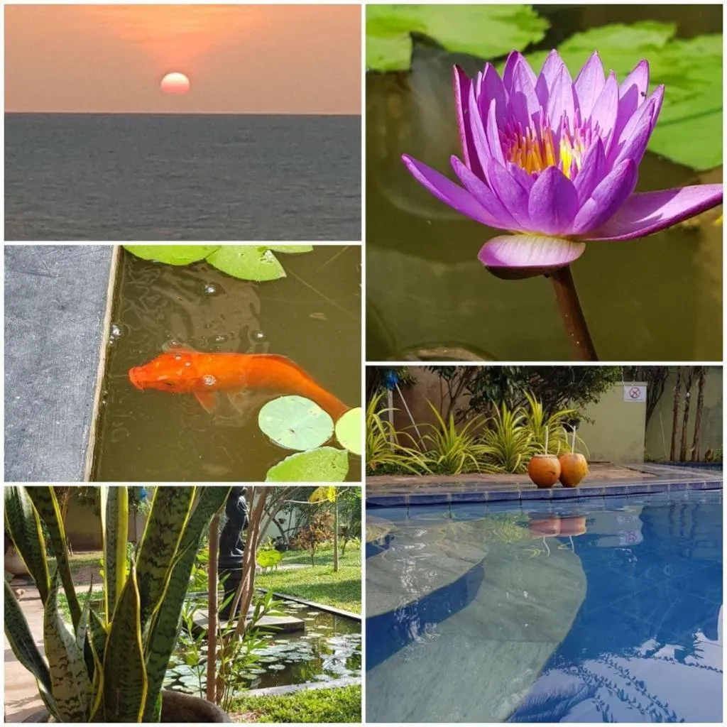 Swimming pool in Solomon Beach Hotel