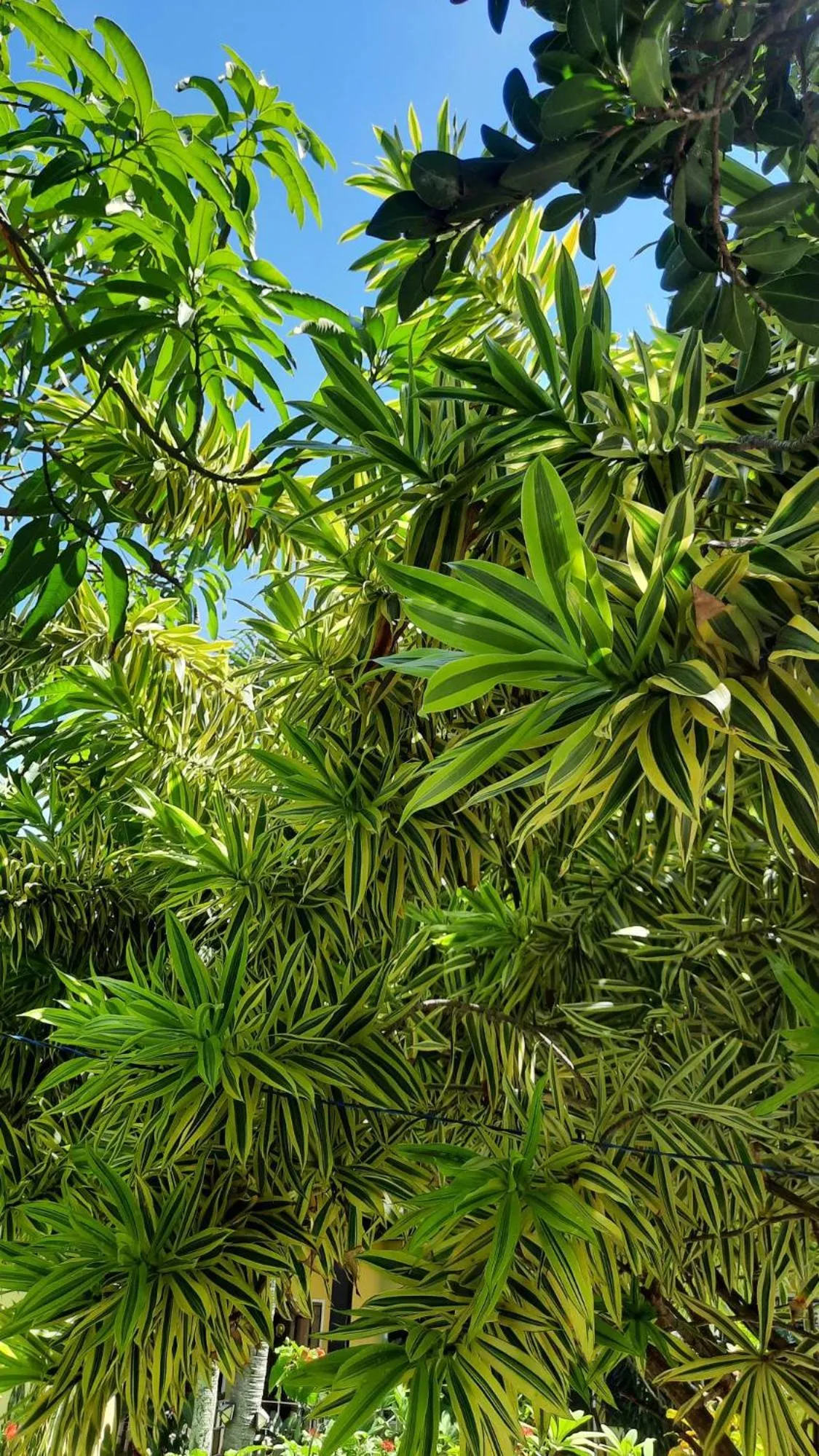 Property building in Solomon Beach Hotel