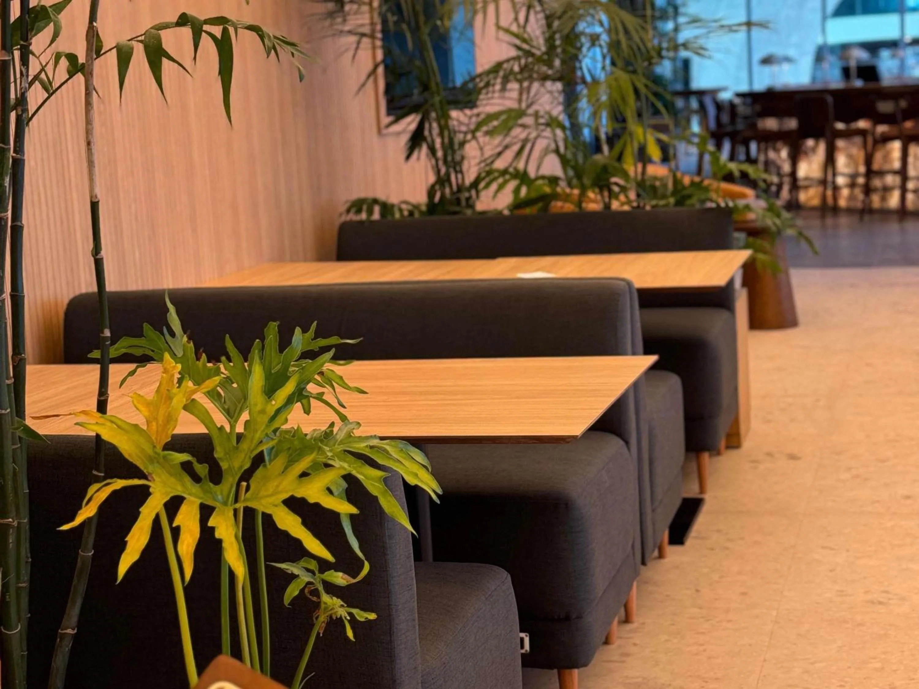 Restaurant/places to eat in Novotel Recife Marina