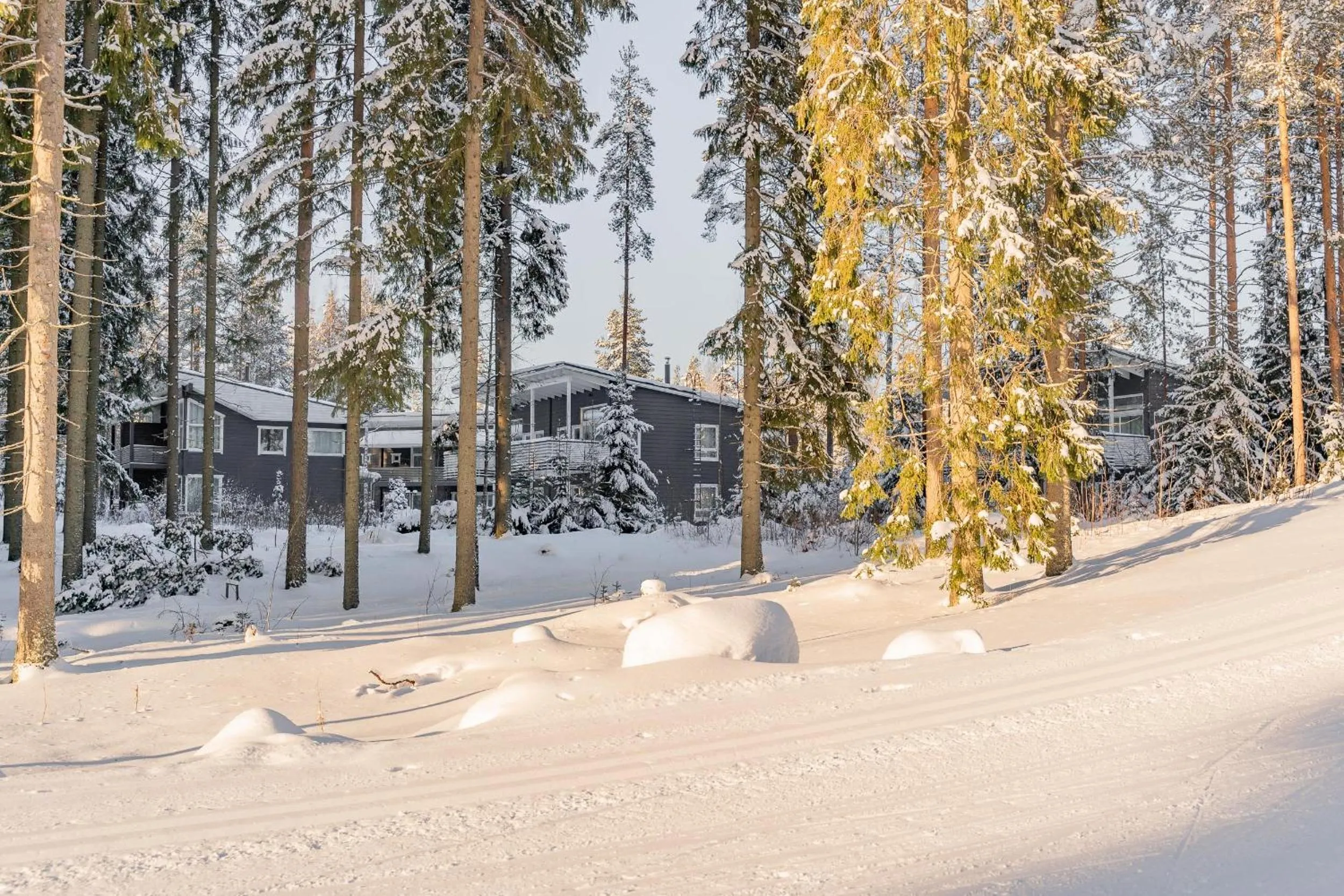 Neighbourhood in Saimaa Life Apartments