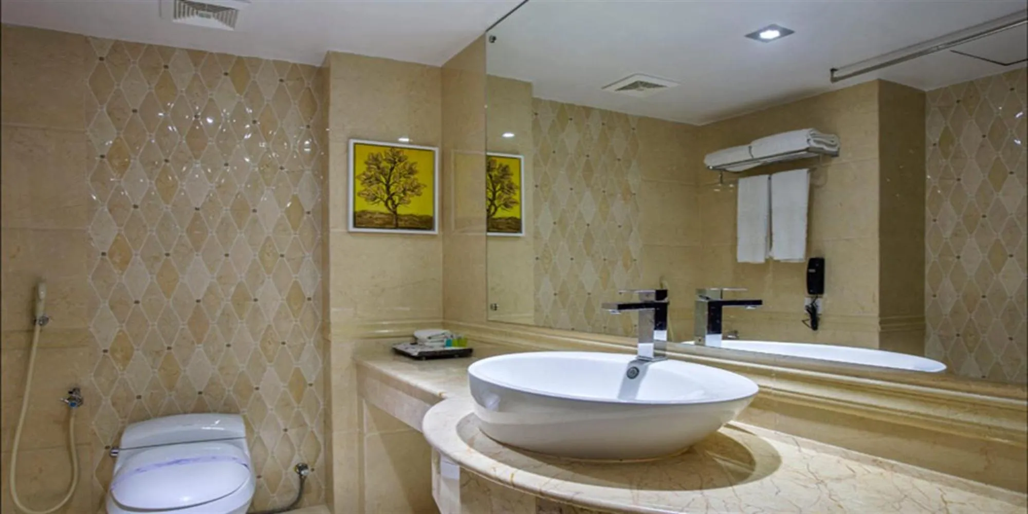 Bathroom in Bengal Blueberry