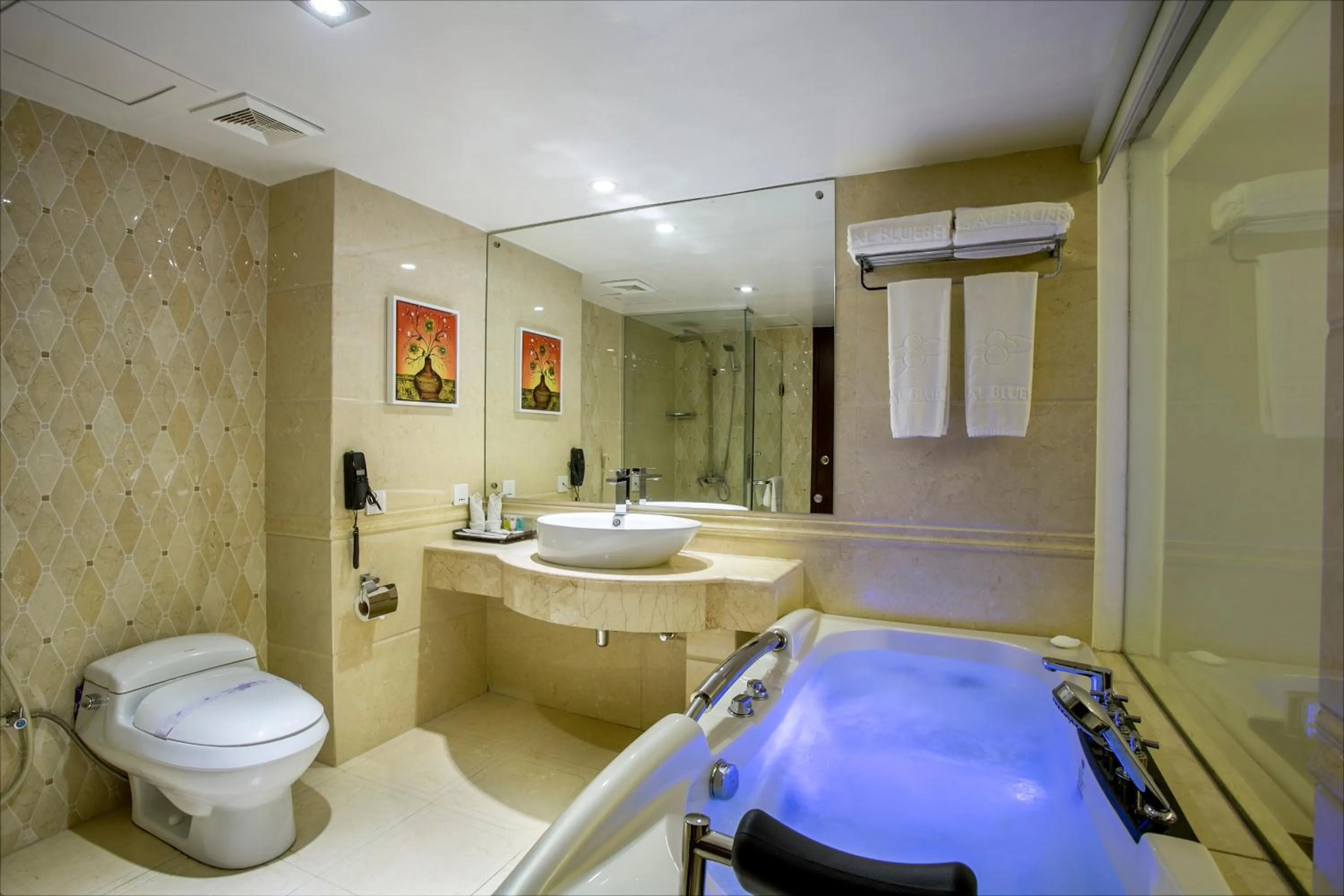 Bathroom in Bengal Blueberry