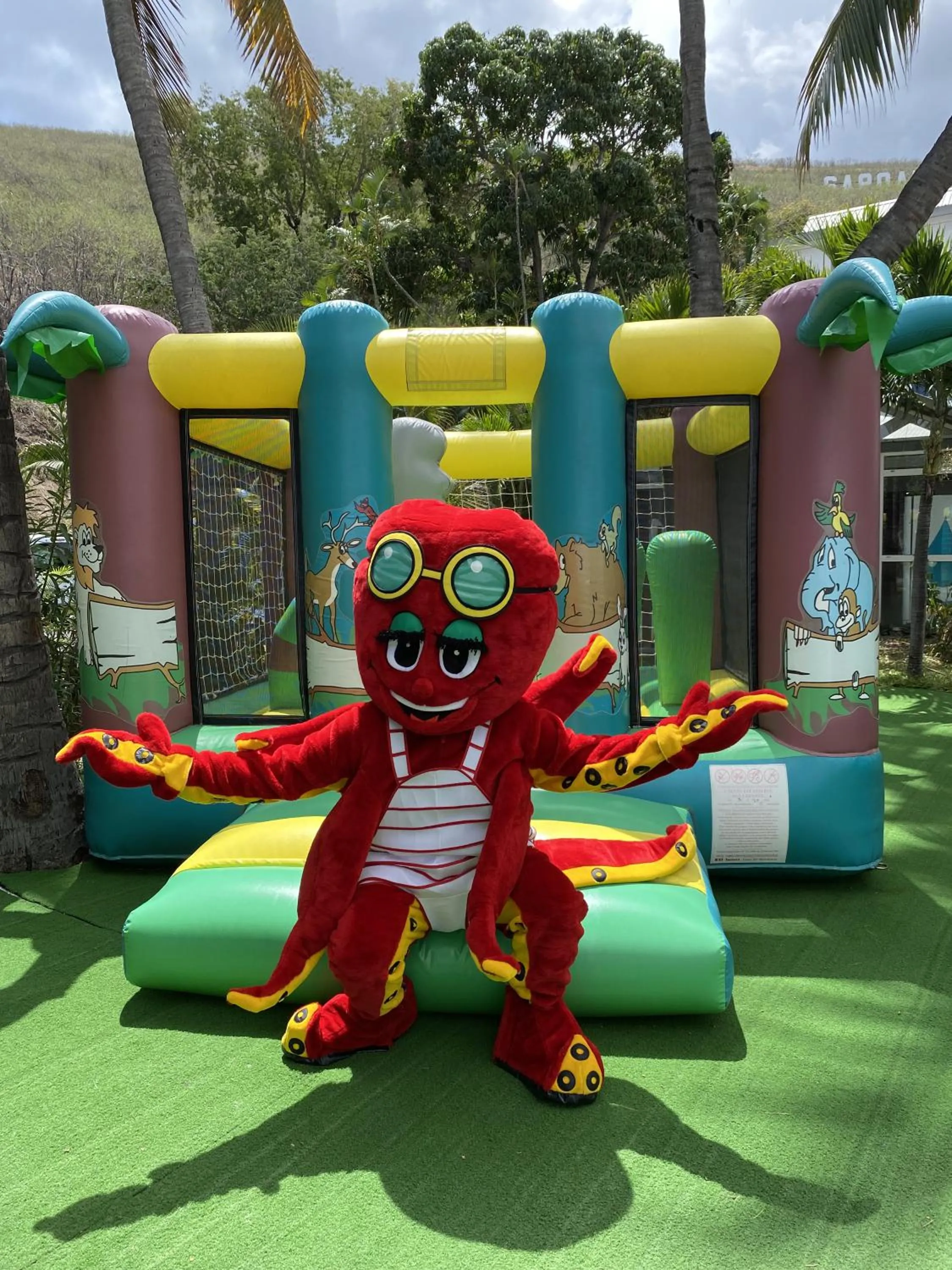 Activities in Les Aigrettes