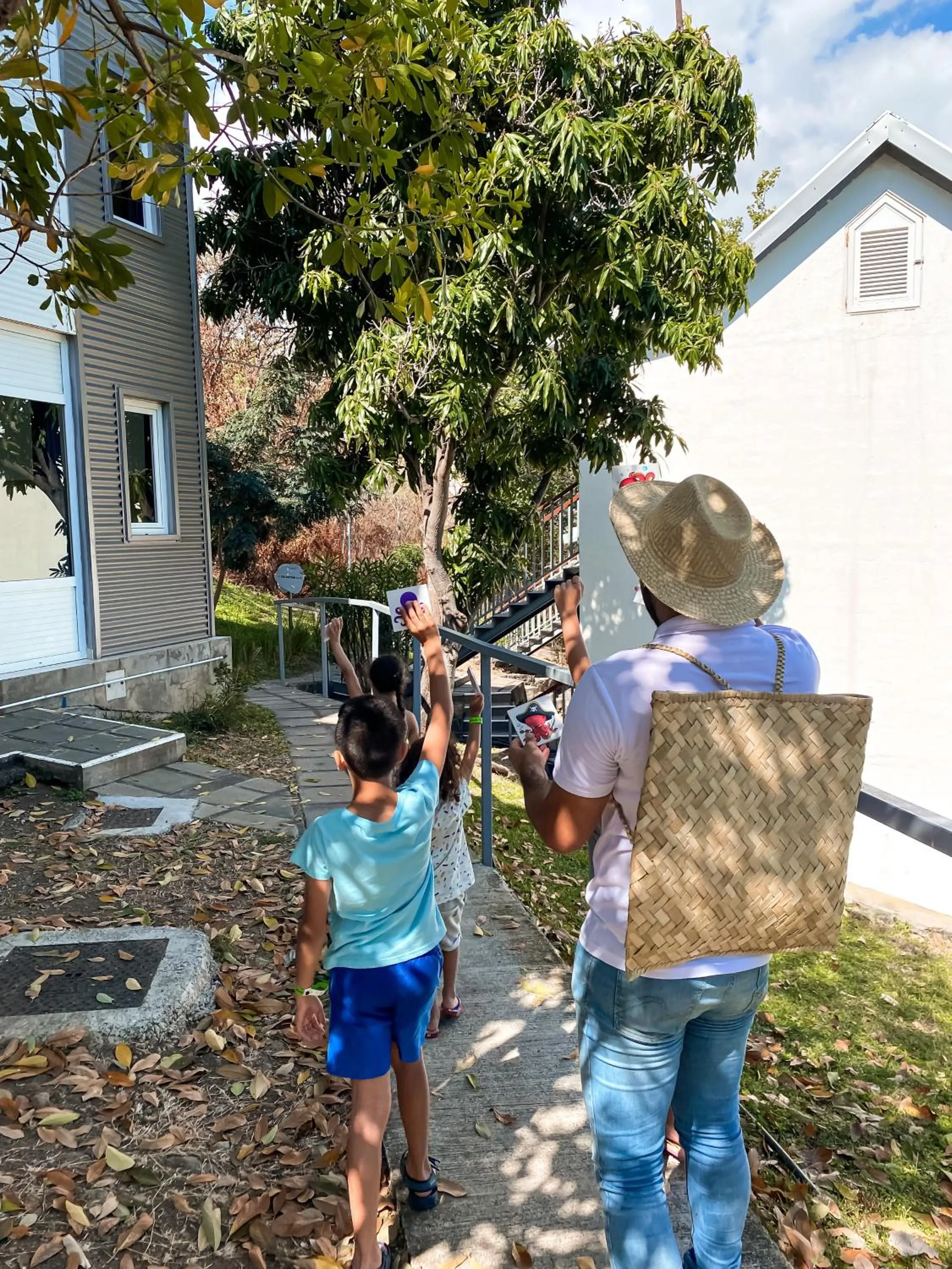 Activities in Les Aigrettes