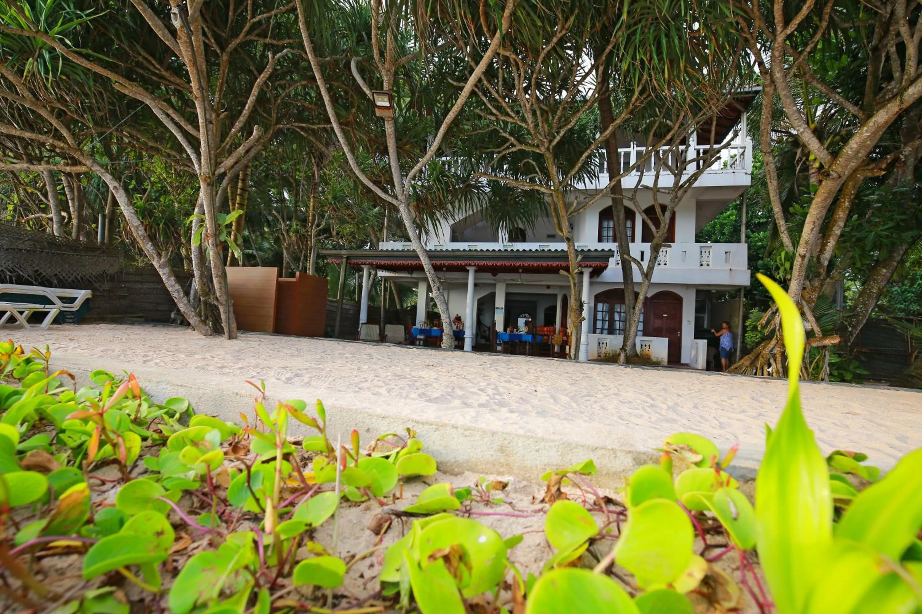 Facade/entrance in Haus am Meer "Wilde Ananas"
