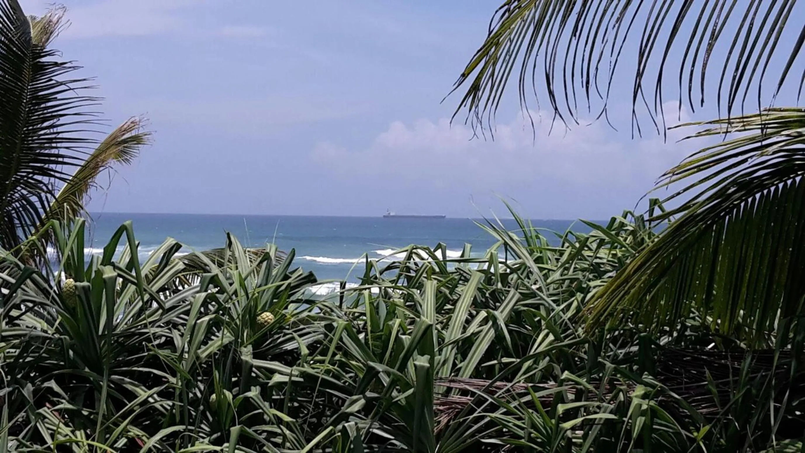 Balcony/Terrace in Haus am Meer "Wilde Ananas"