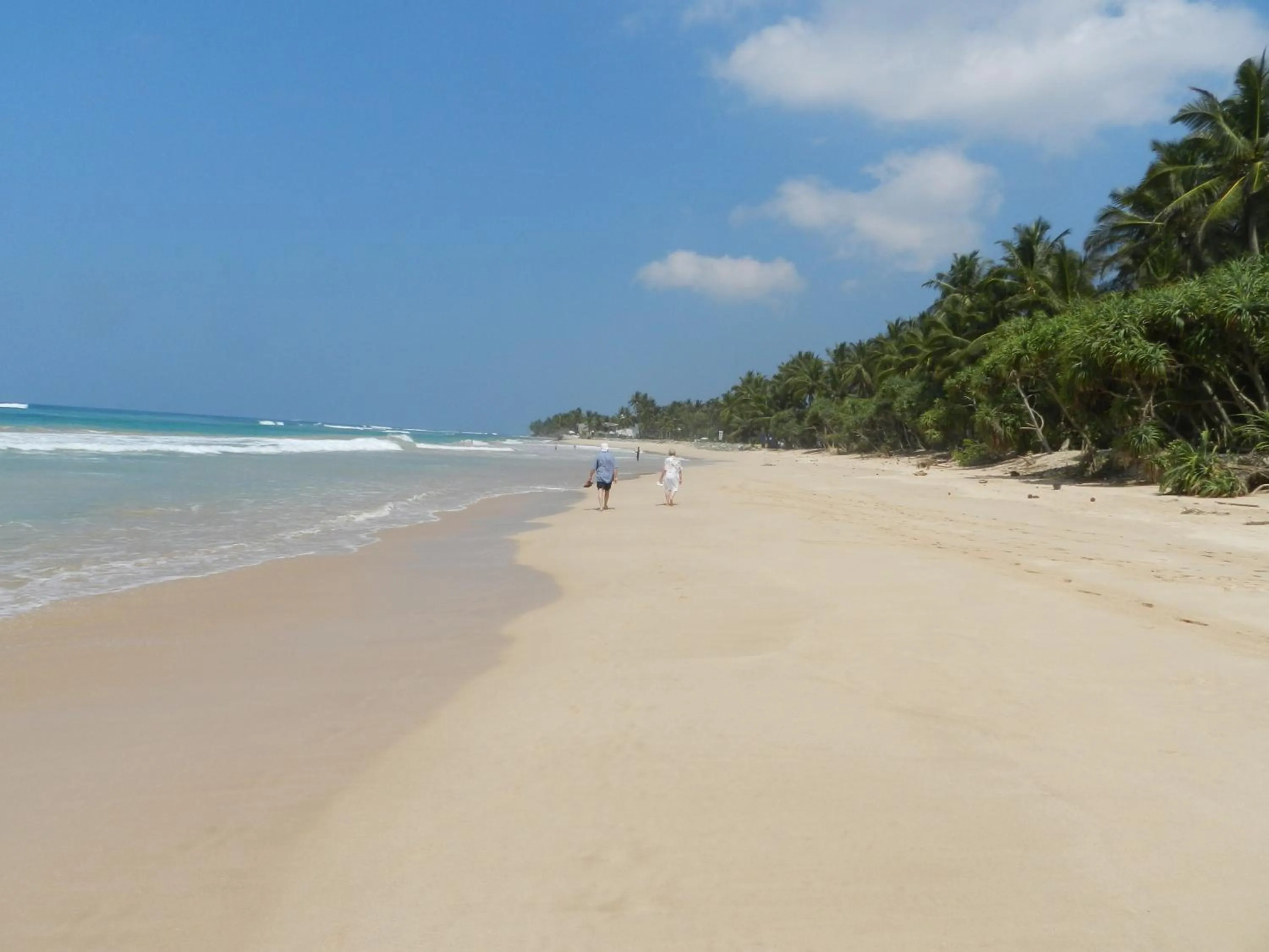 Fishing in Haus am Meer "Wilde Ananas"