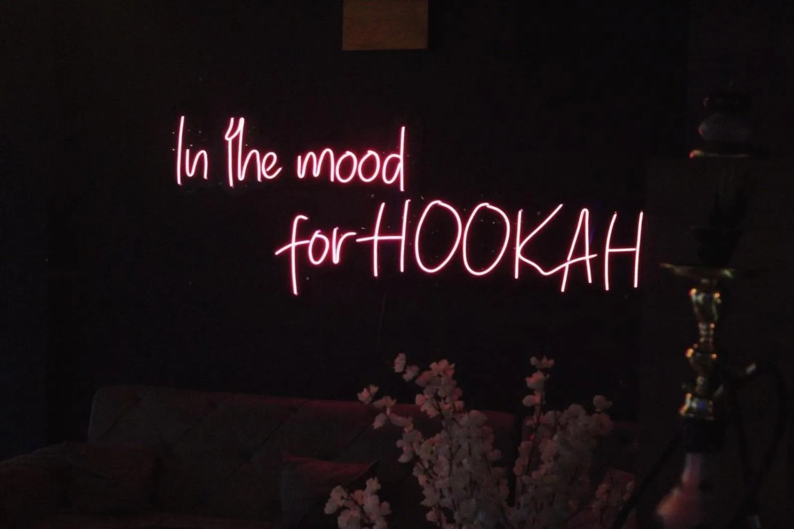 Restaurant/places to eat in Hotel Antika