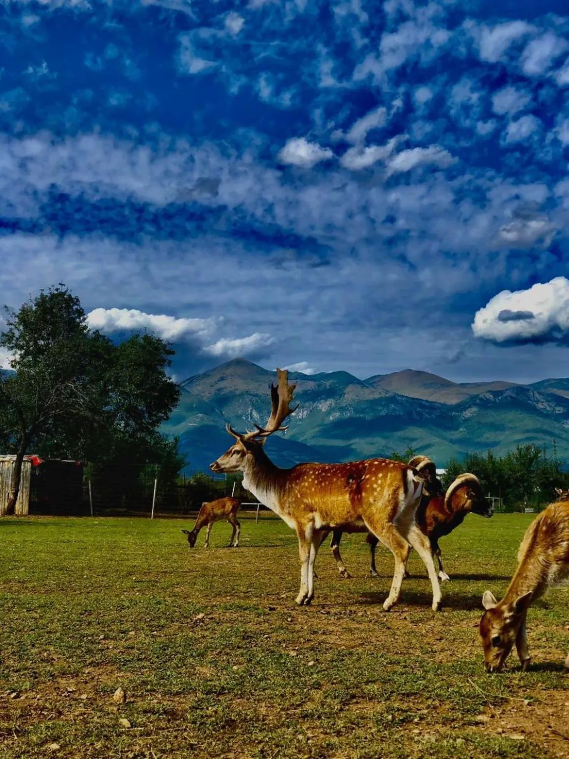 Natural landscape in Hotel Antika