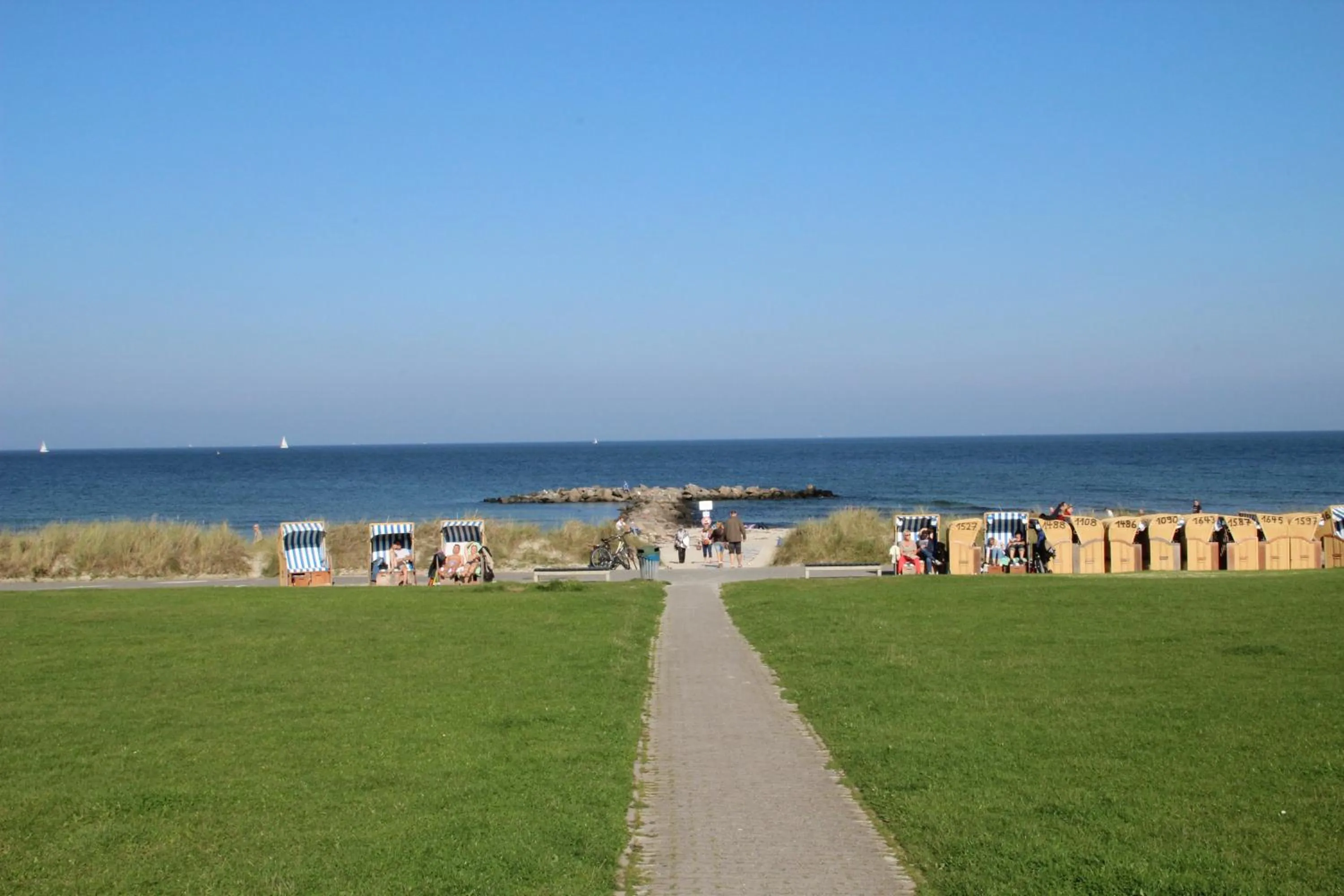 Natural landscape in Beach Hotel California