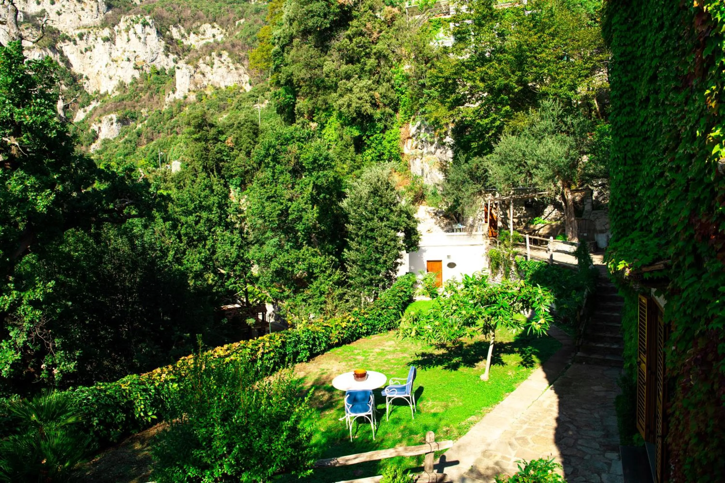 Garden in Ville Olimpo