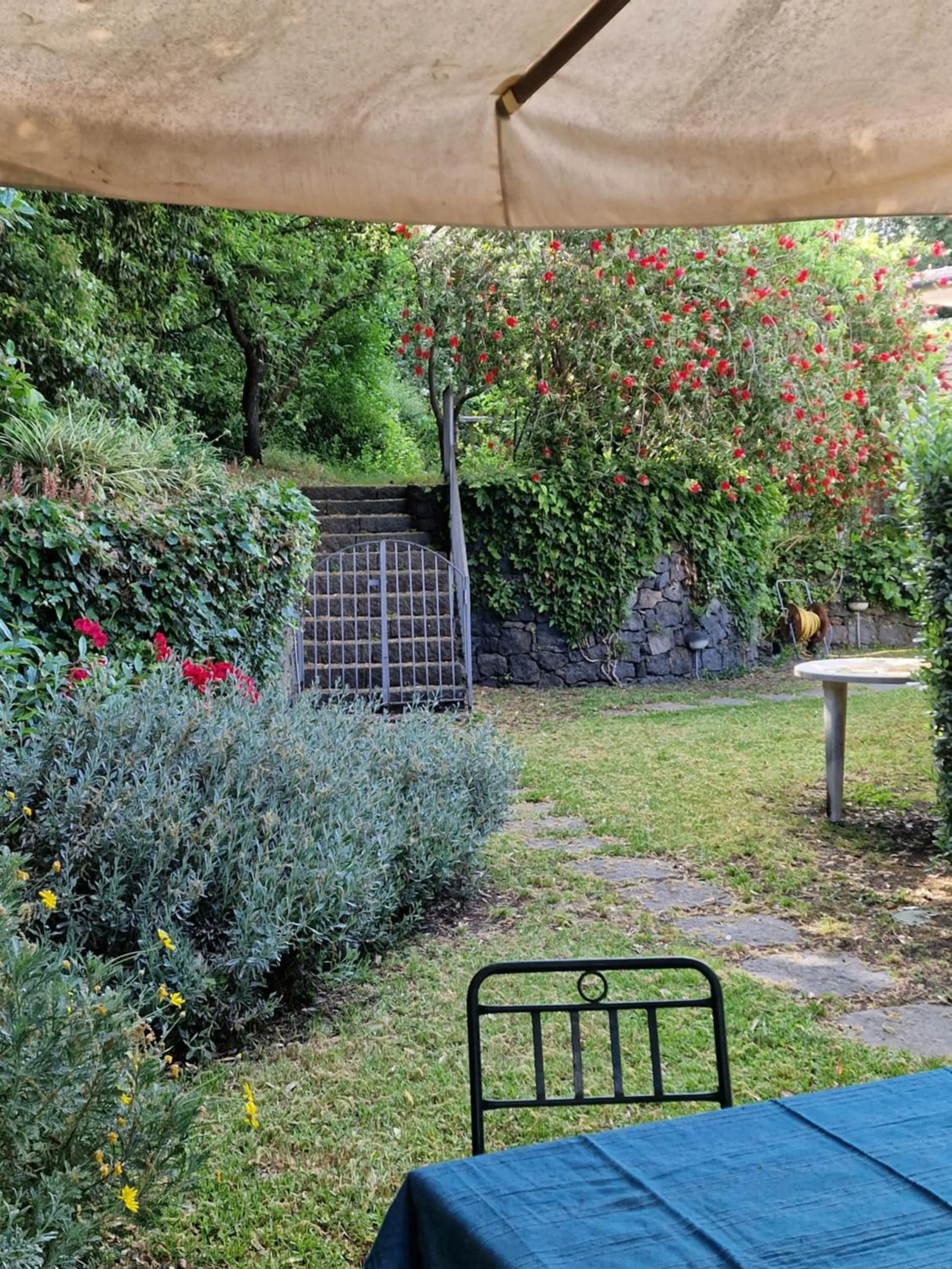Garden in Casa Delle Coccole