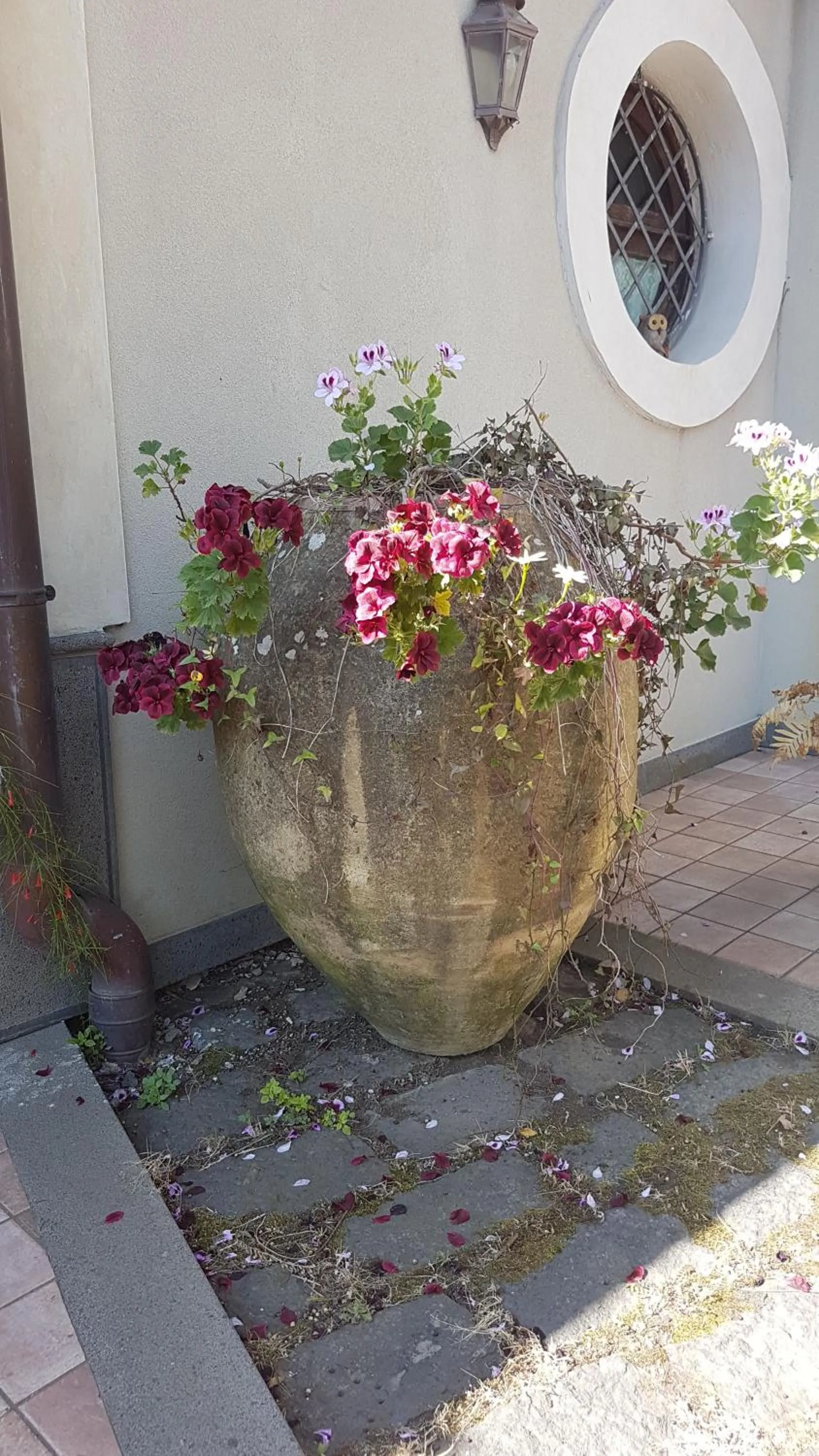 Spring in Casa Delle Coccole