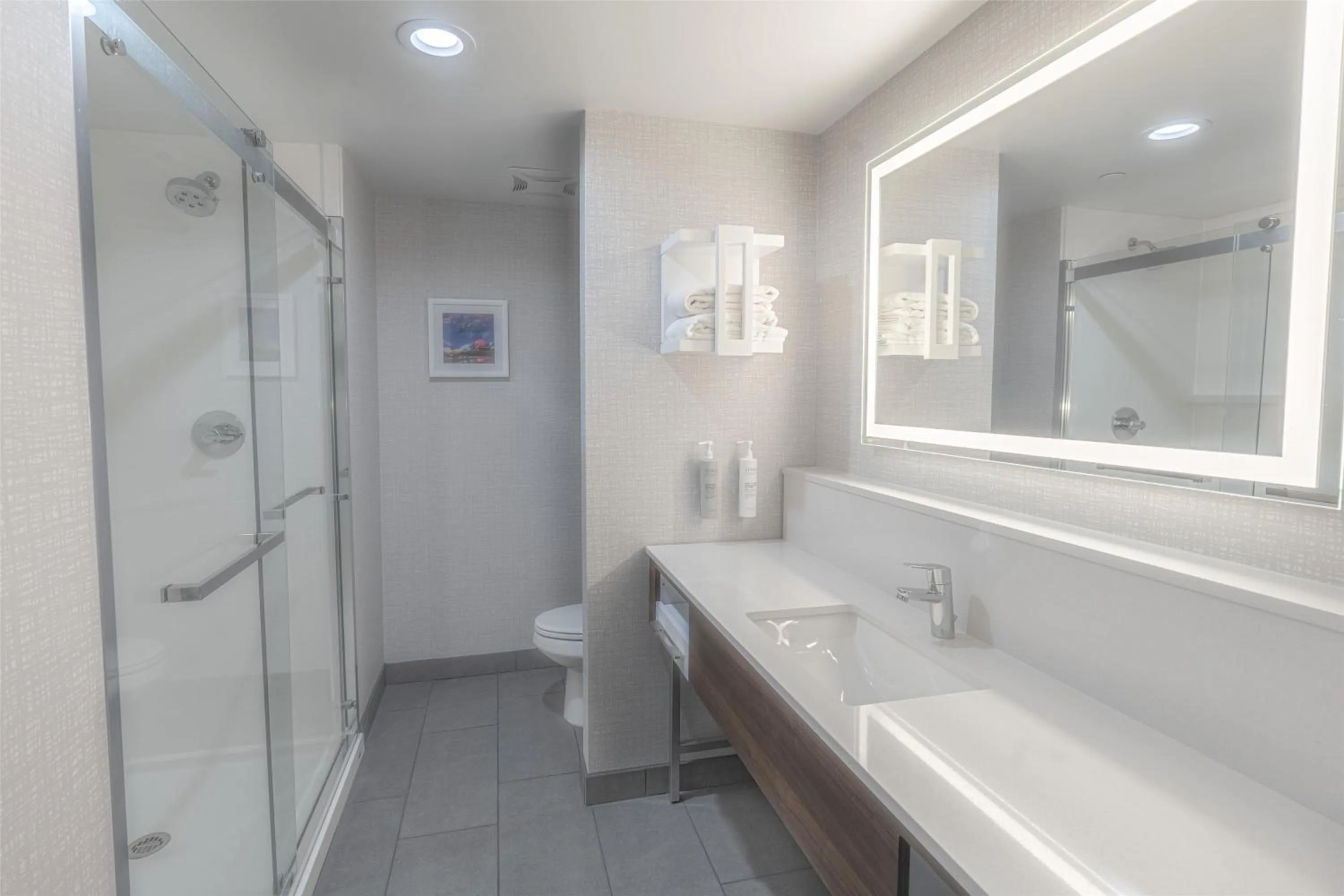 Bathroom in Hampton Inn By Hilton Santa Clarita-Valencia