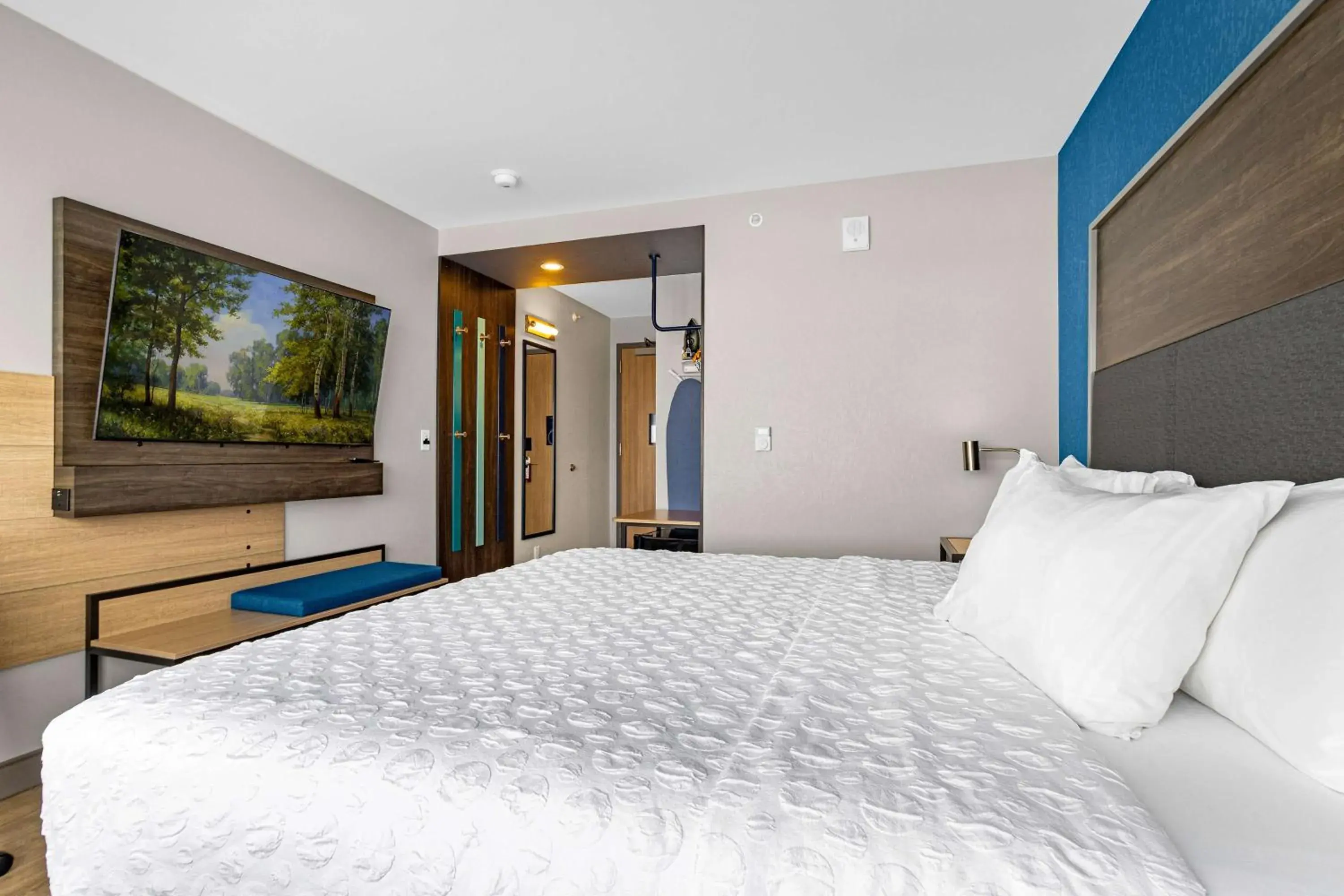 King Room - Hearing Access in Tru By Hilton Colorado Springs Airport King Room - Hearing Access in Tru By Hilton Colorado Springs Airport