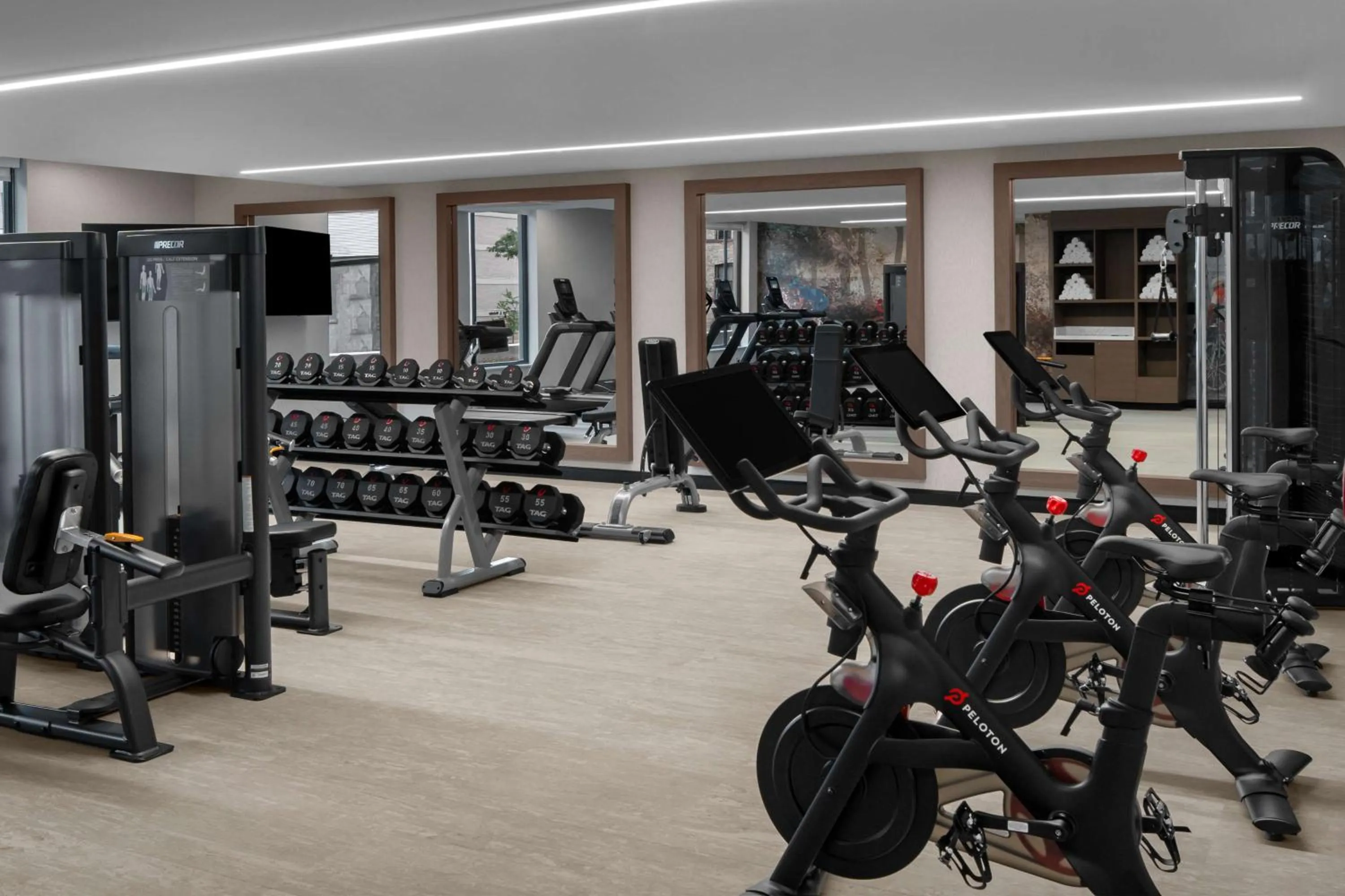 Fitness centre/facilities in Embassy Suites By Hilton Madison Downtown