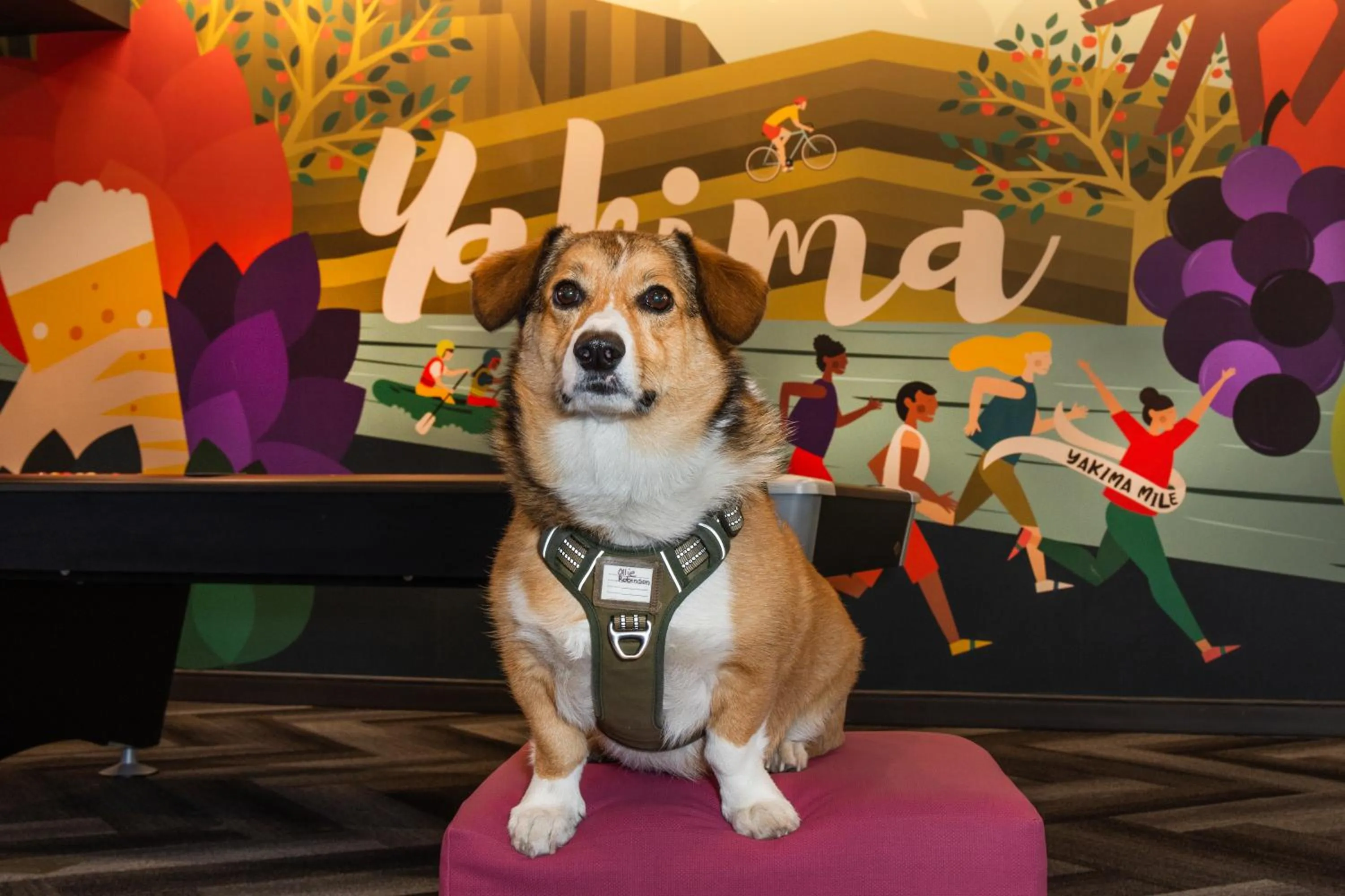 pet friendly in Tru By Hilton Yakima Airport