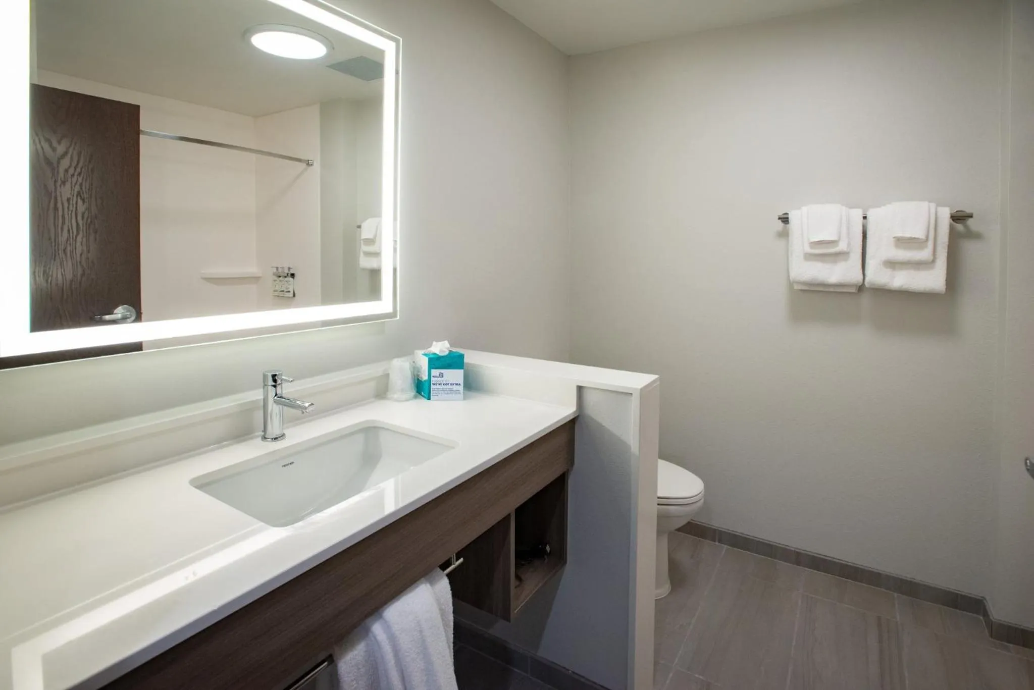 Bathroom in Holiday Inn Express & Suites Pensacola Airport North – I-10 by IHG