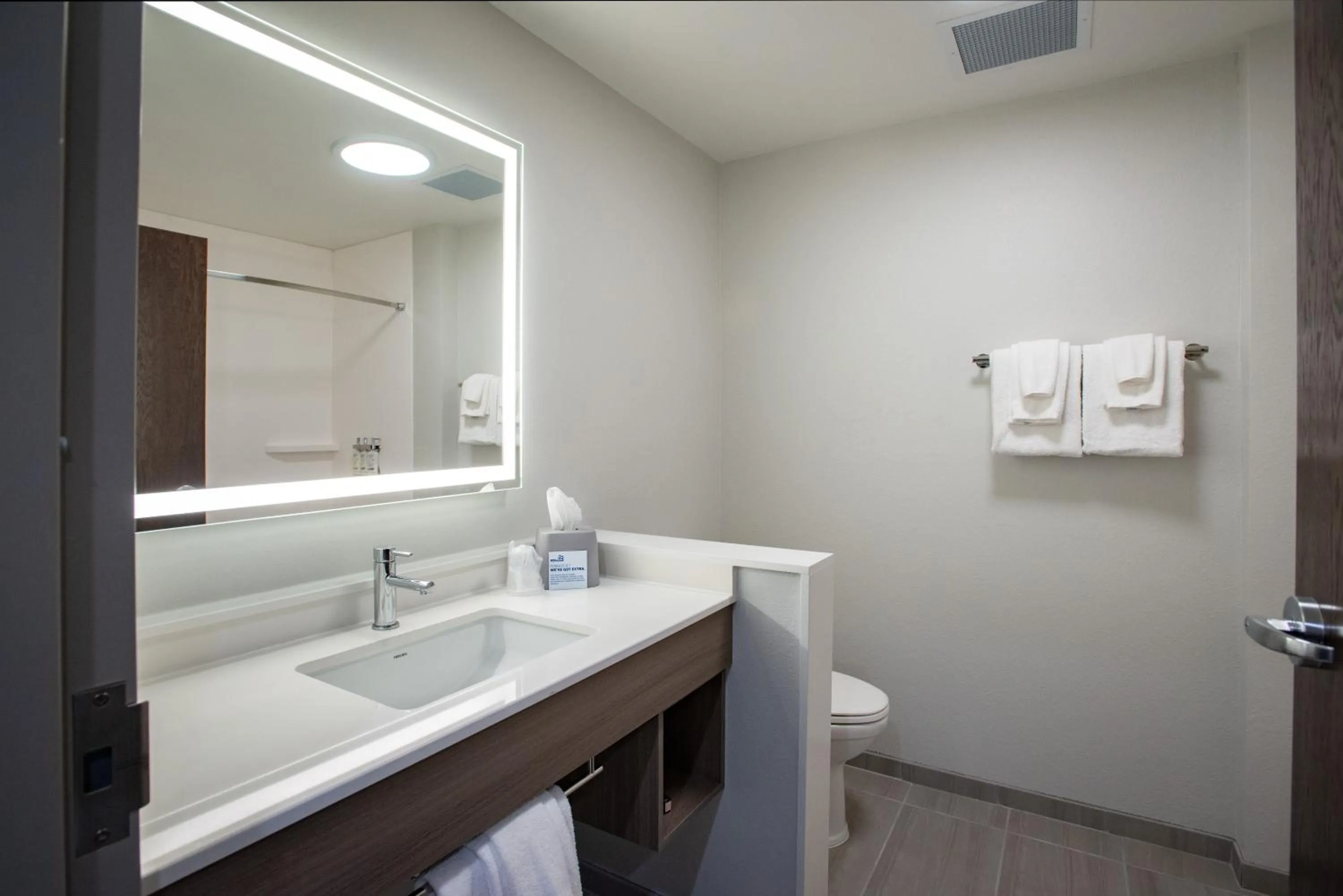 Bathroom in Holiday Inn Express & Suites Pensacola Airport North – I-10 by IHG