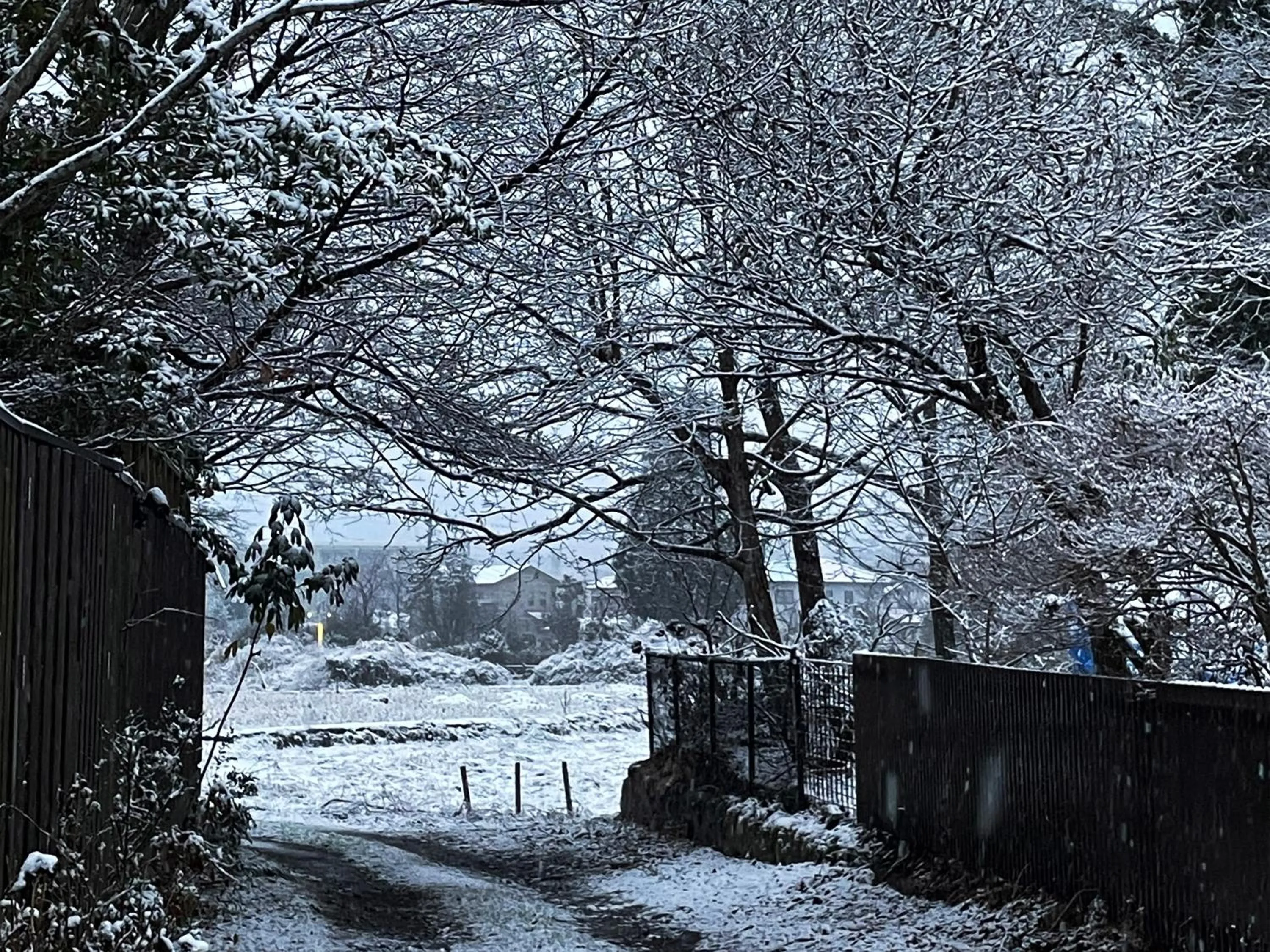 View (from property/room) in Yufuin Onsen Ryokan Hananomai
