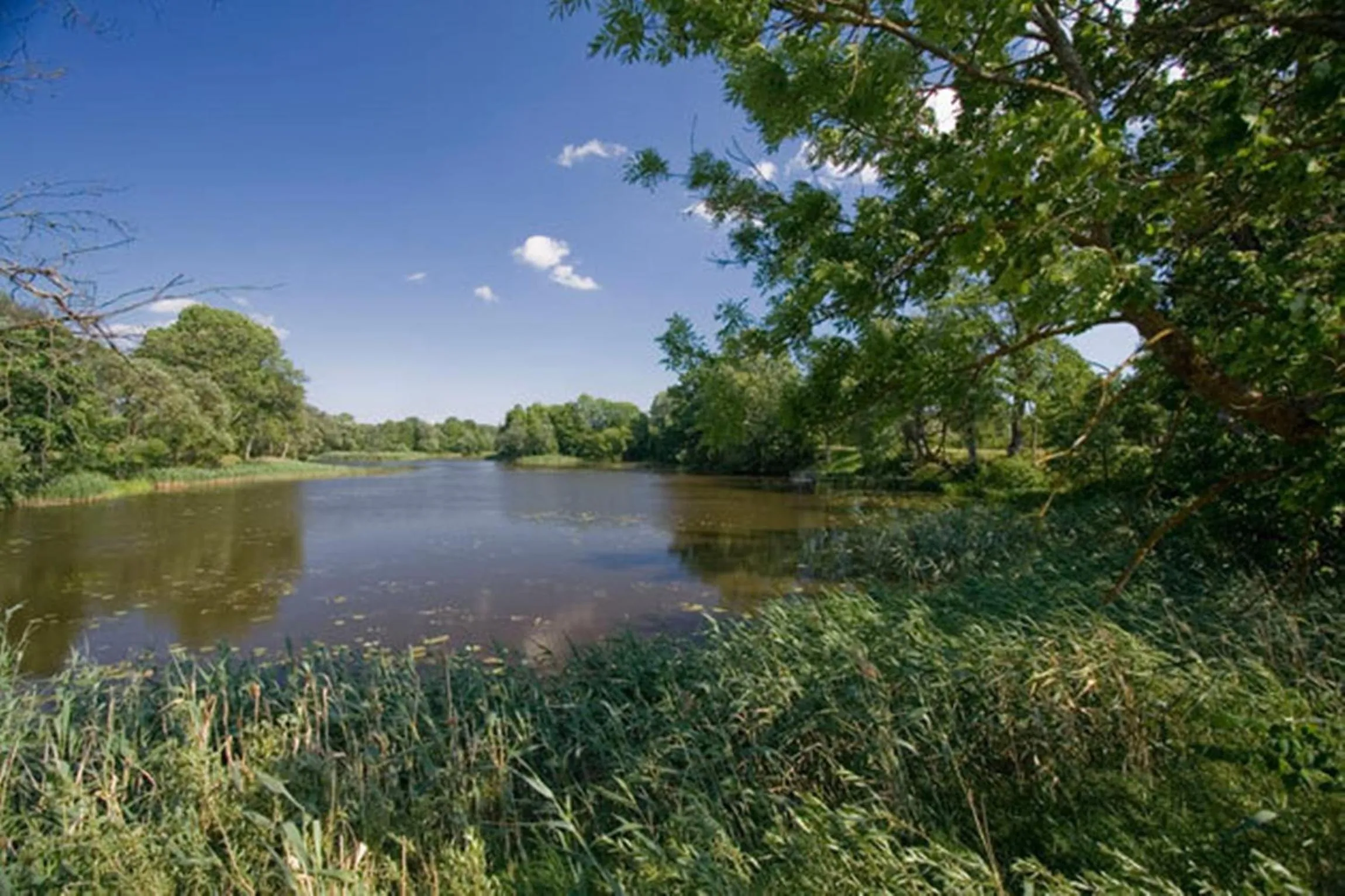 Beach in Motelis Aldari
