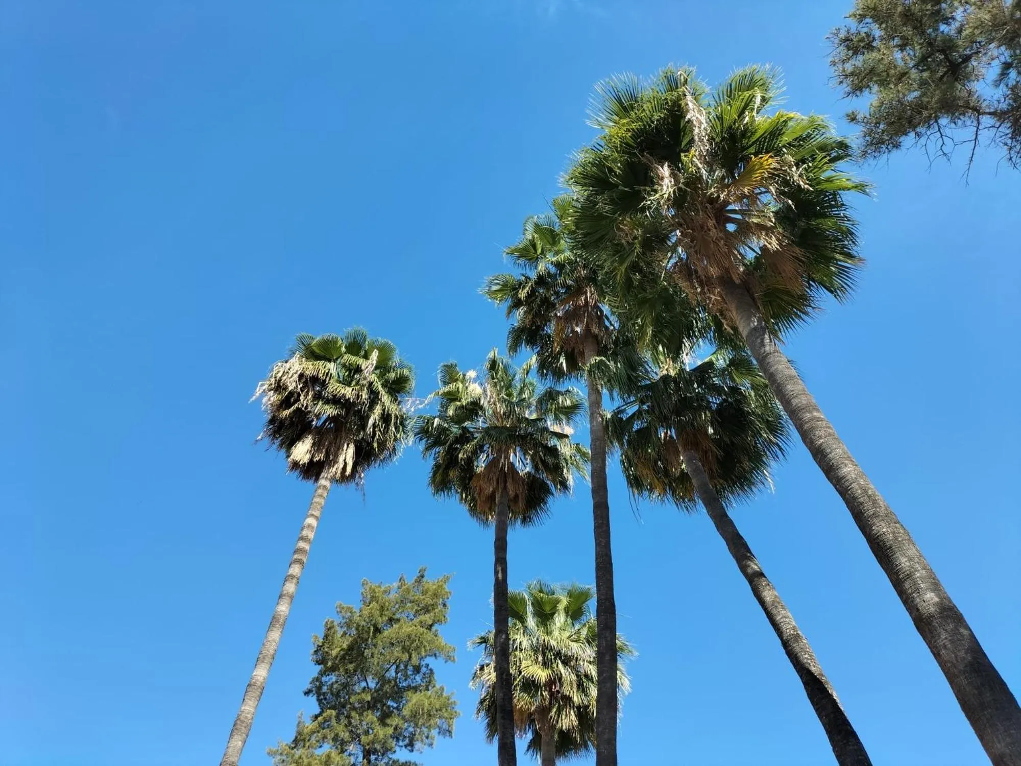 Garden in Vas Málaga Ciudad