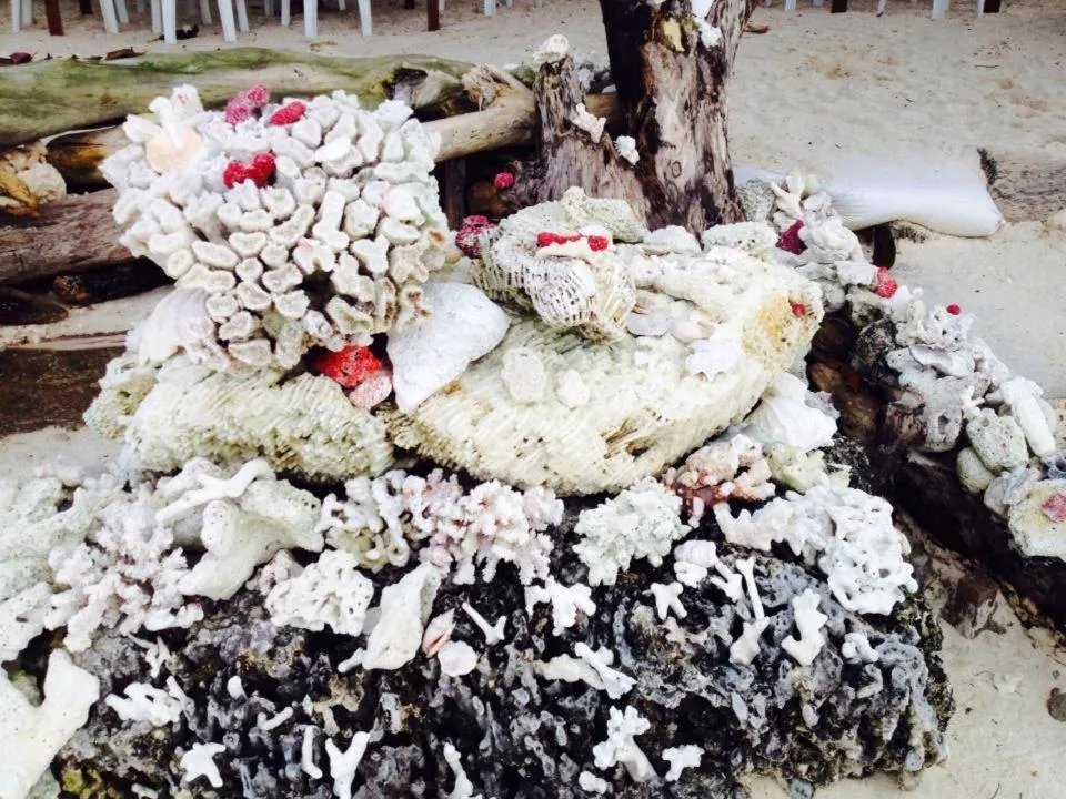 Liwayway sa Bohol Pamilacan Resort