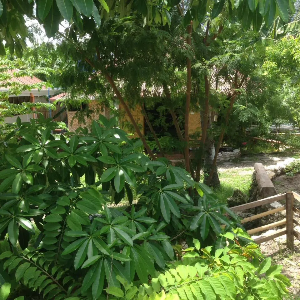 Liwayway sa Bohol Pamilacan Resort