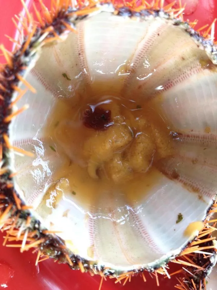 Food in Liwayway sa Bohol Pamilacan Resort