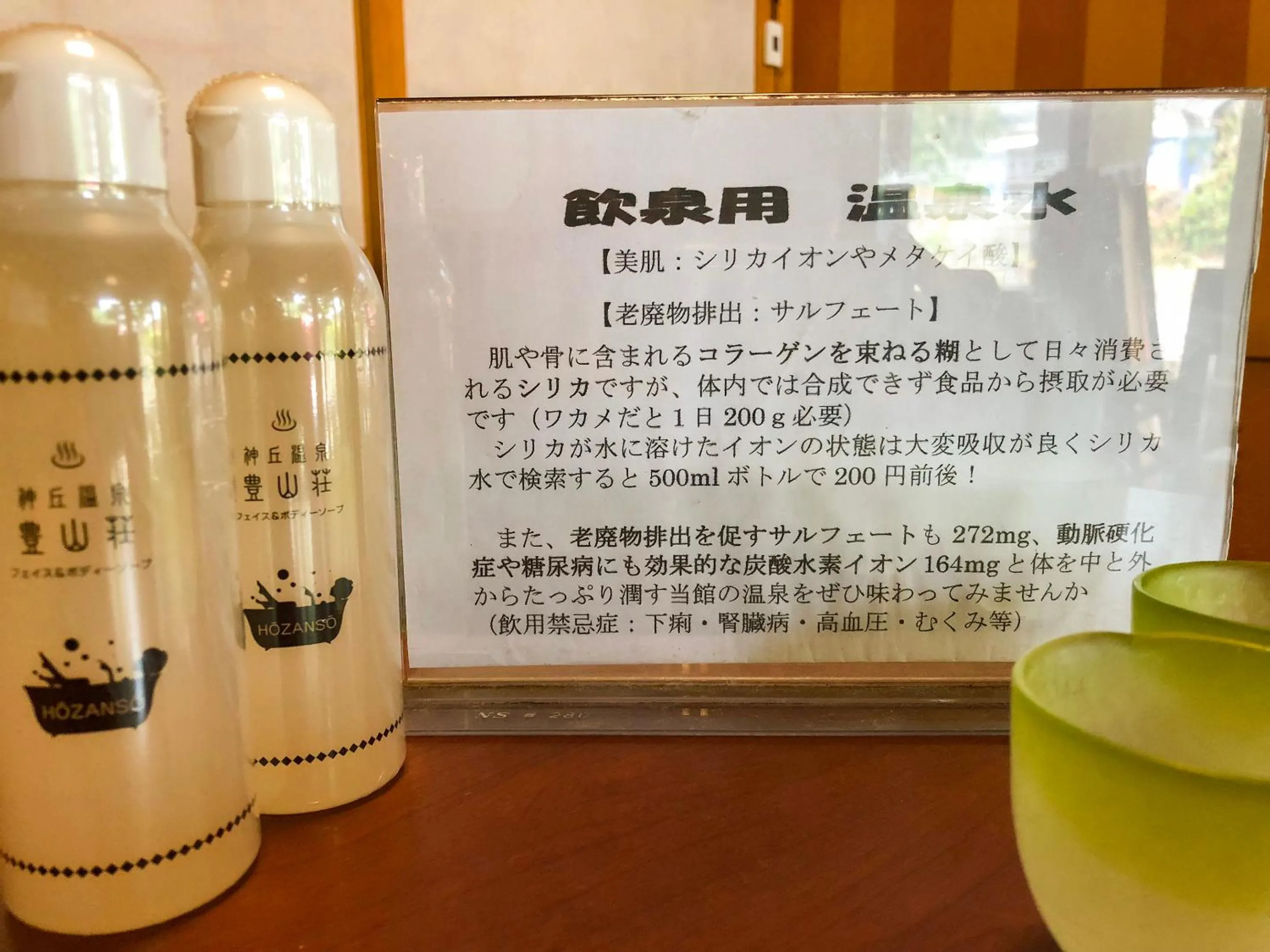 Hot Spring Bath in Hozanso Beppu