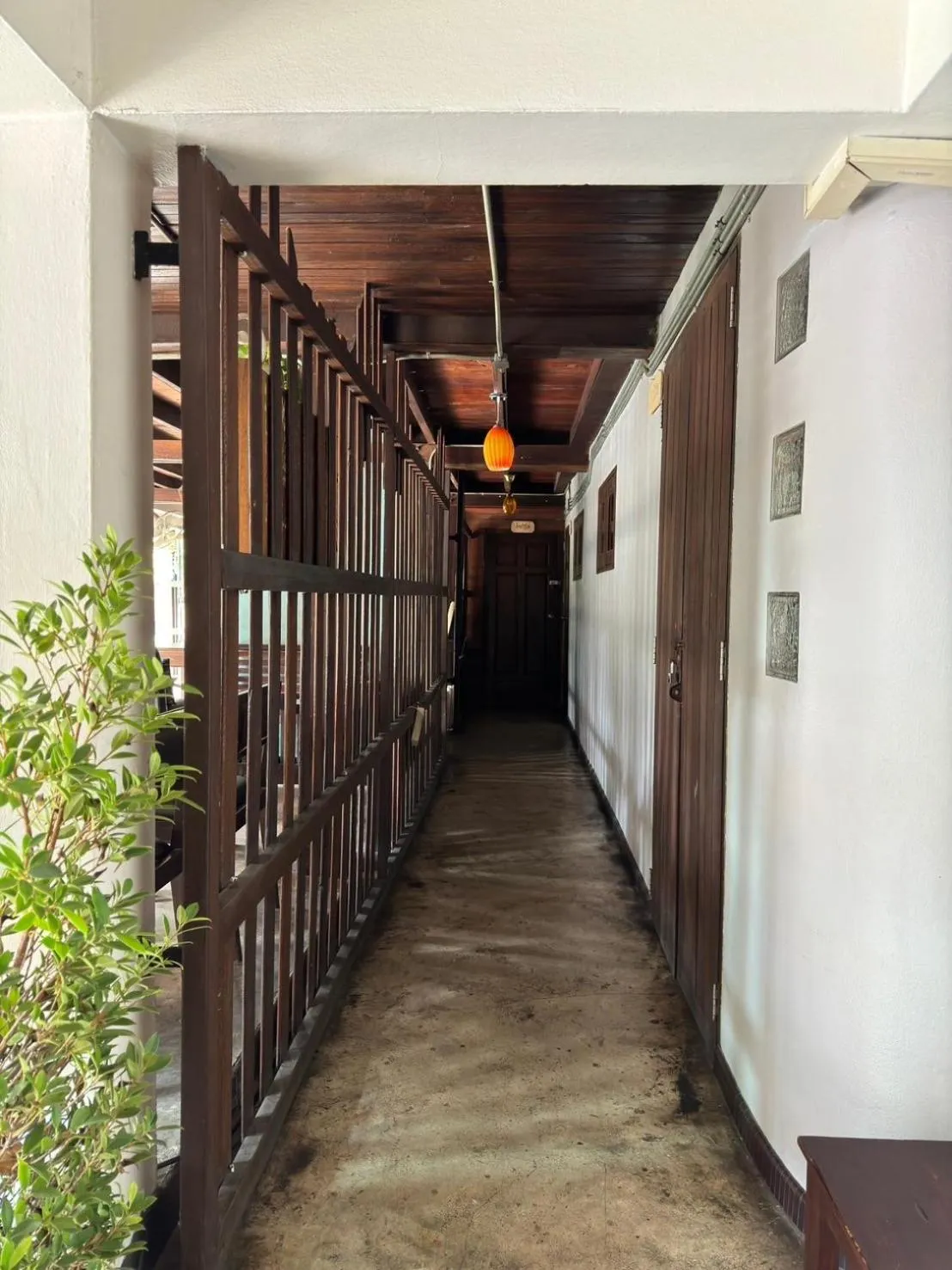 Property building in Mi Casa Thaphae Chiang Mai