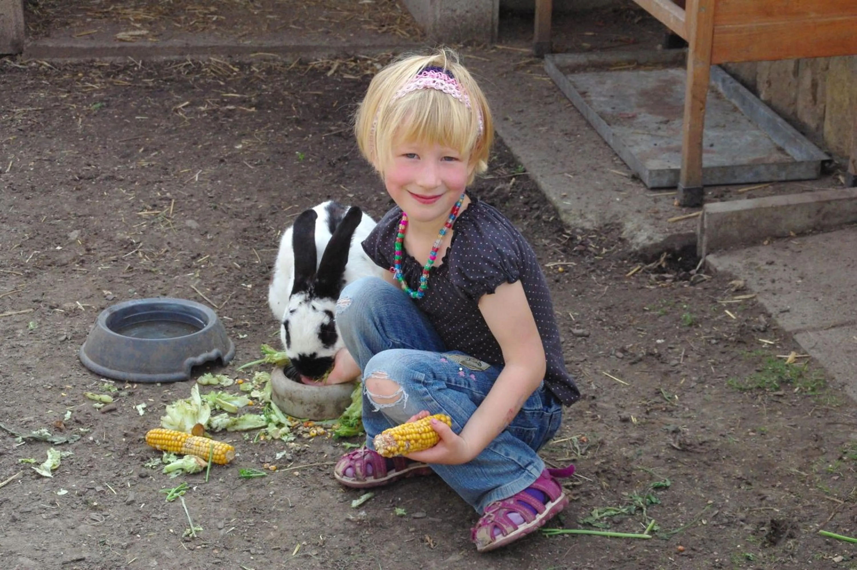 Animals in Landhotel Heidekrug
