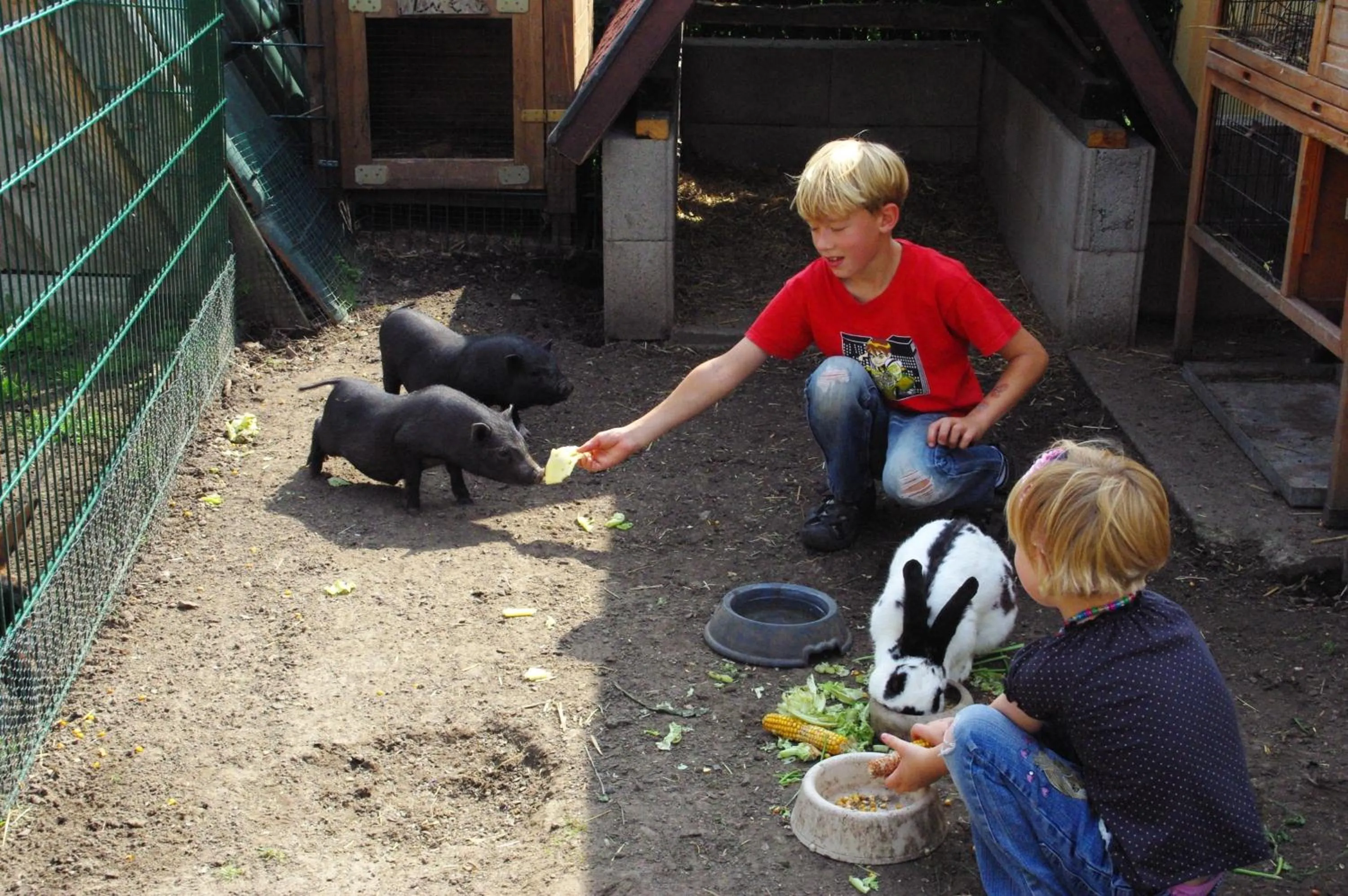 Animals in Landhotel Heidekrug