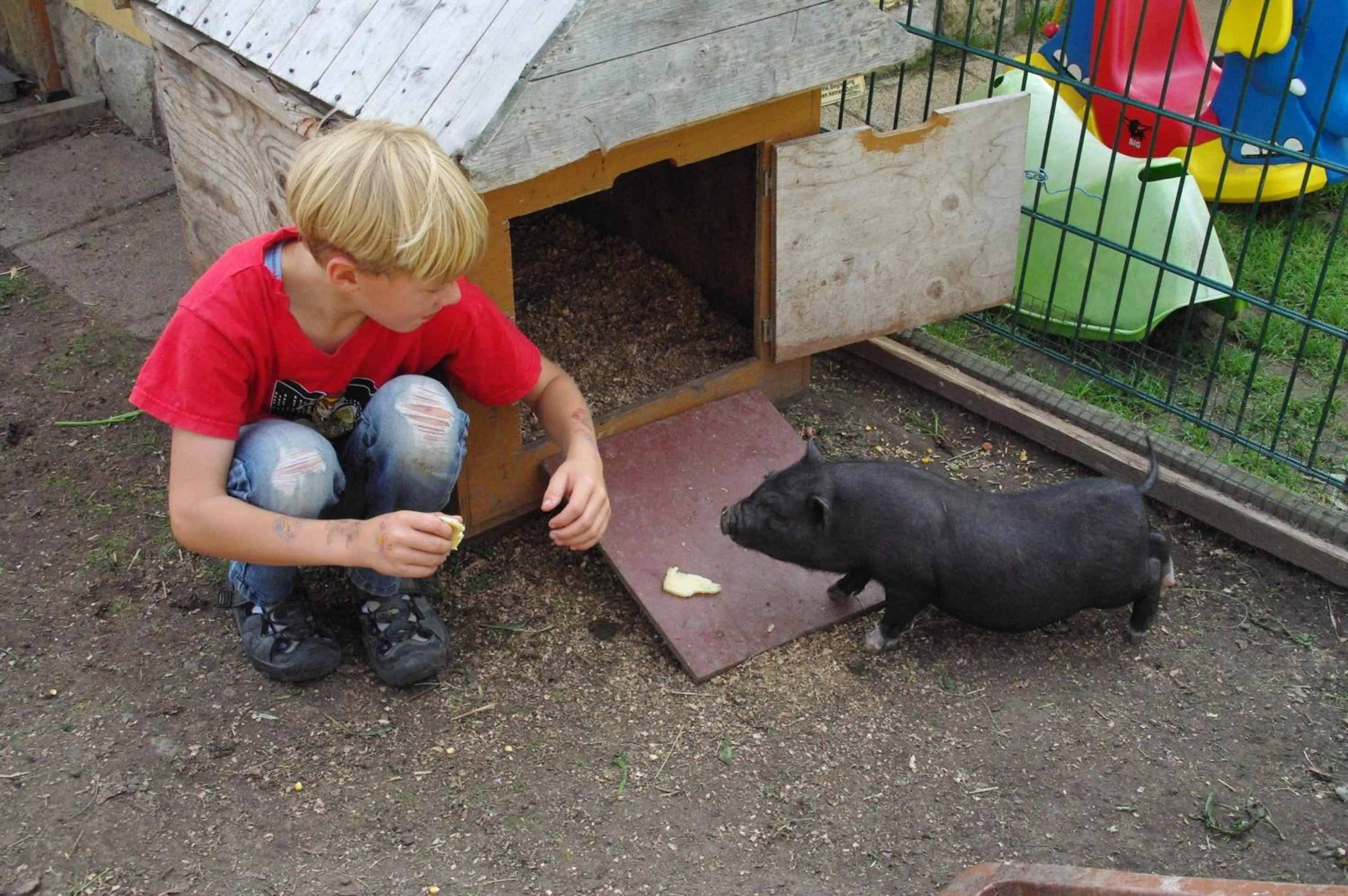 Animals in Landhotel Heidekrug