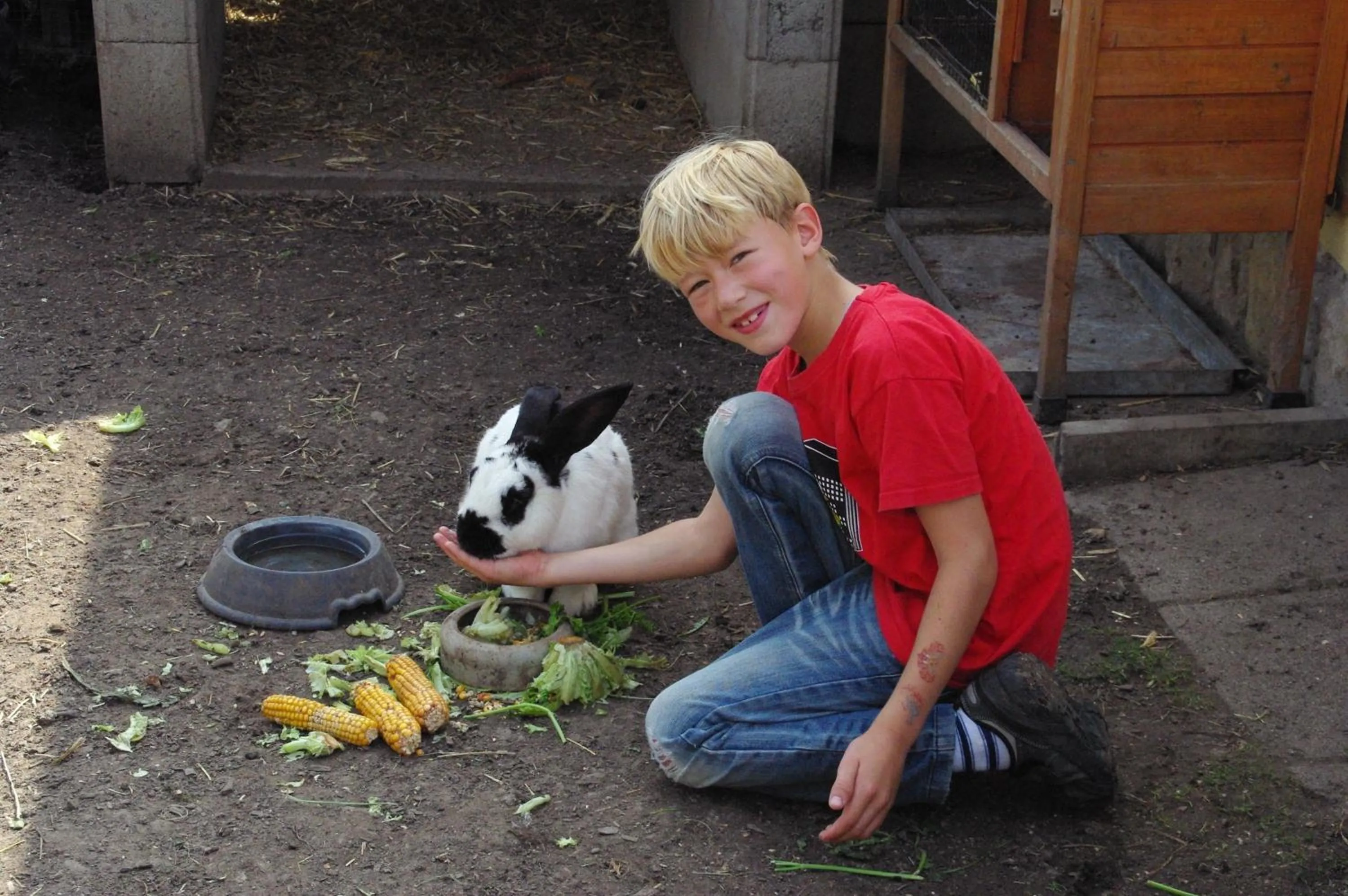 Animals in Landhotel Heidekrug