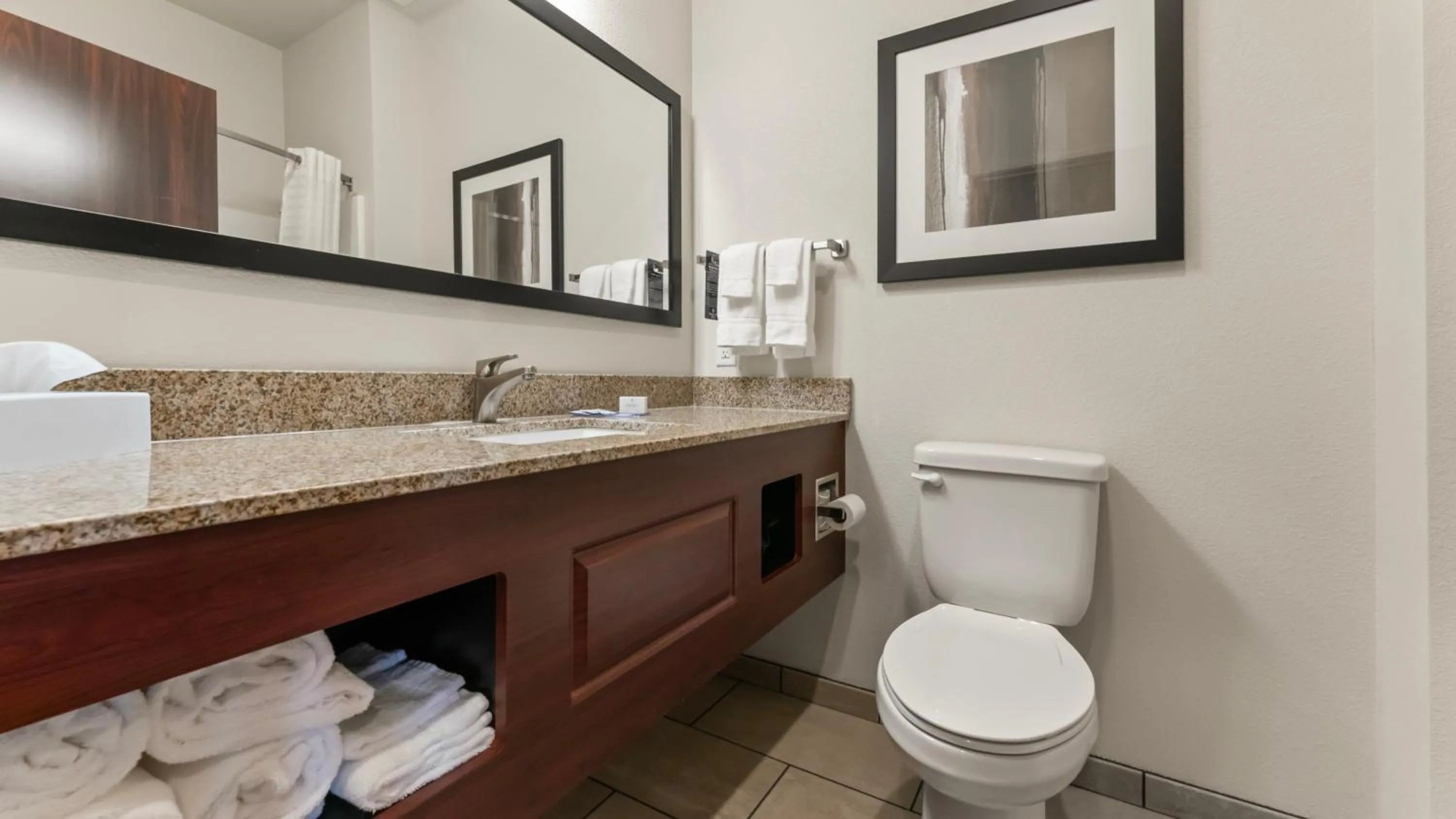 Bathroom in Cobblestone Inn & Suites - Julesburg