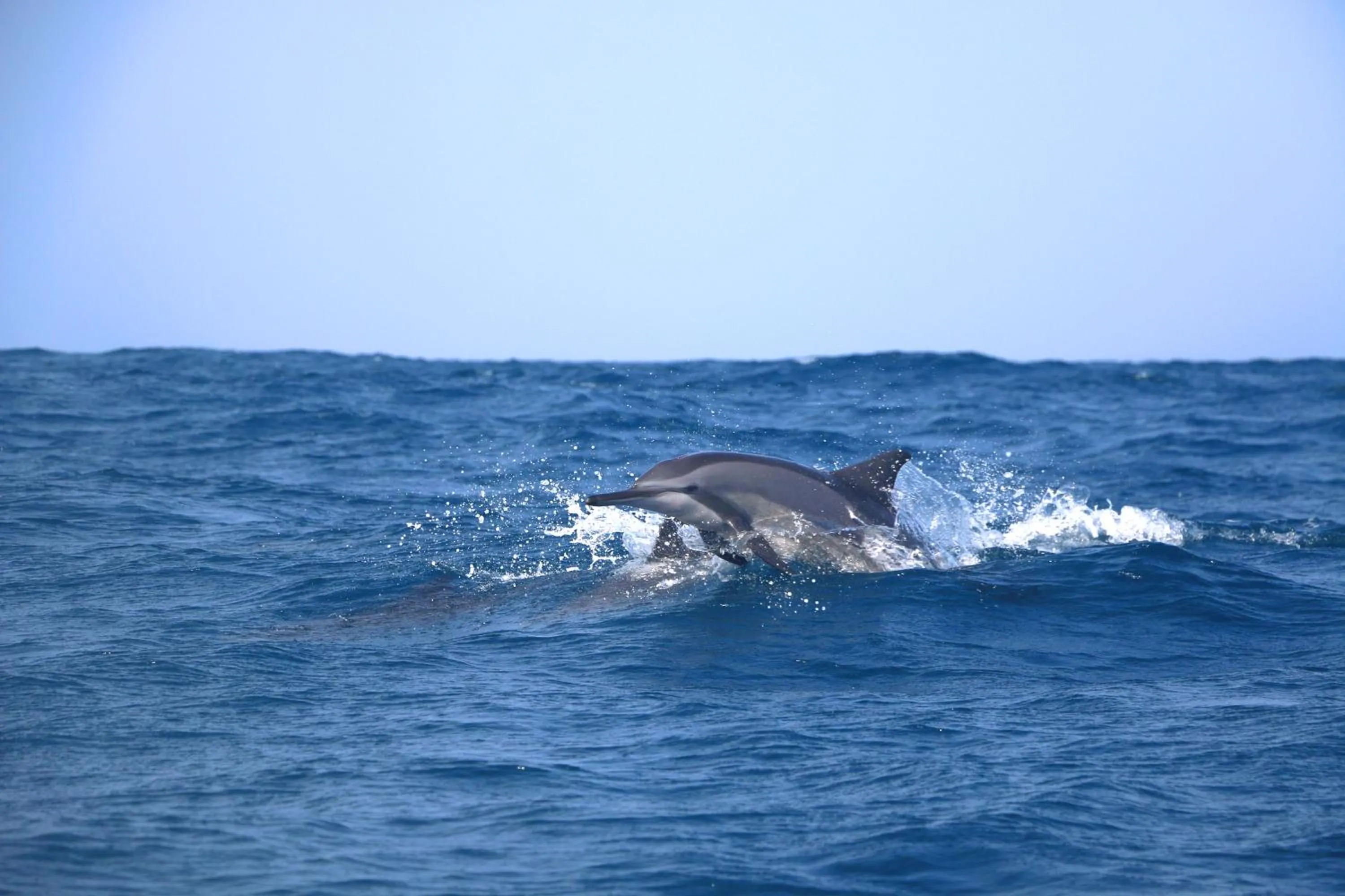 Wellé Wadiya Beach Villa