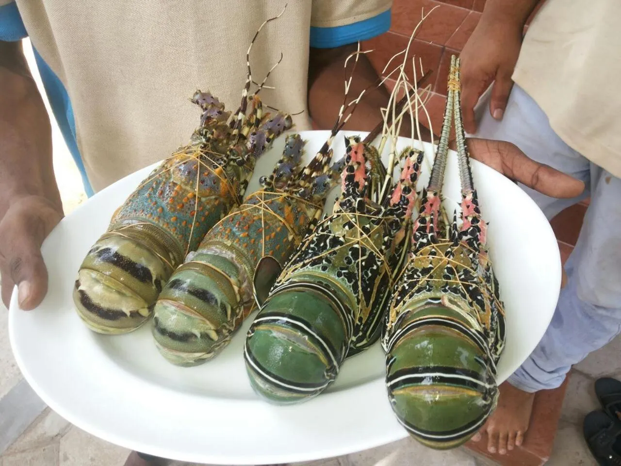 Food close-up in Wellé Wadiya Beach Villa