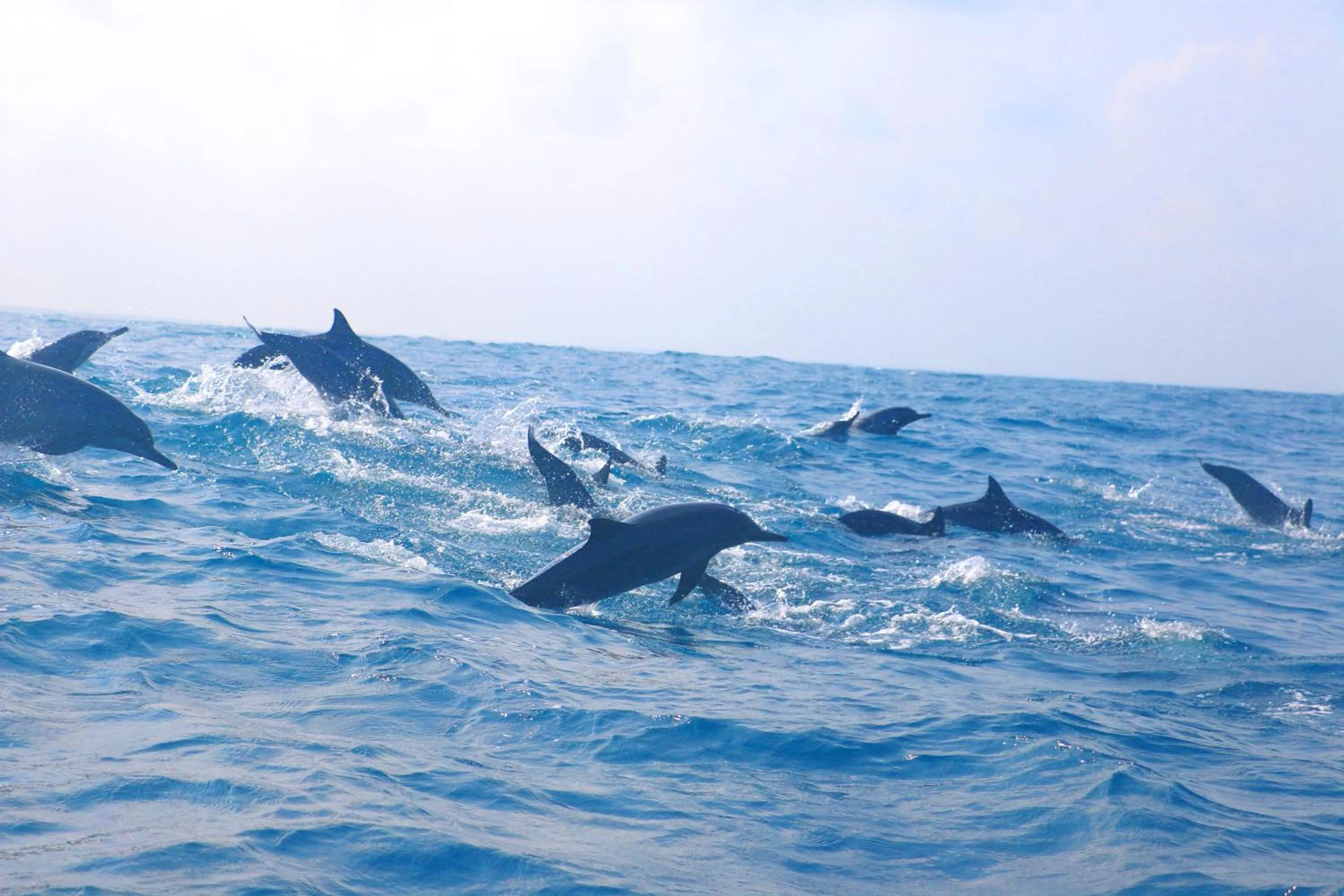 Activities in Wellé Wadiya Beach Villa