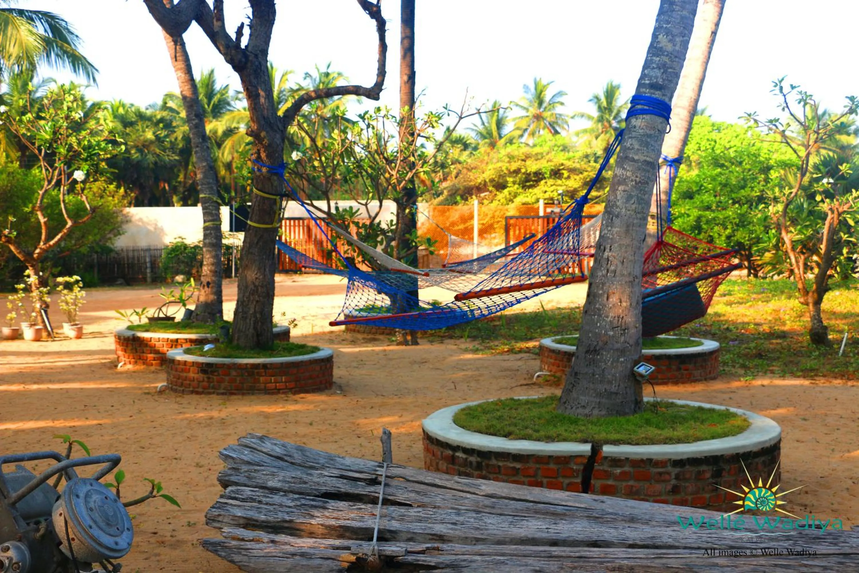 Garden in Wellé Wadiya Beach Villa